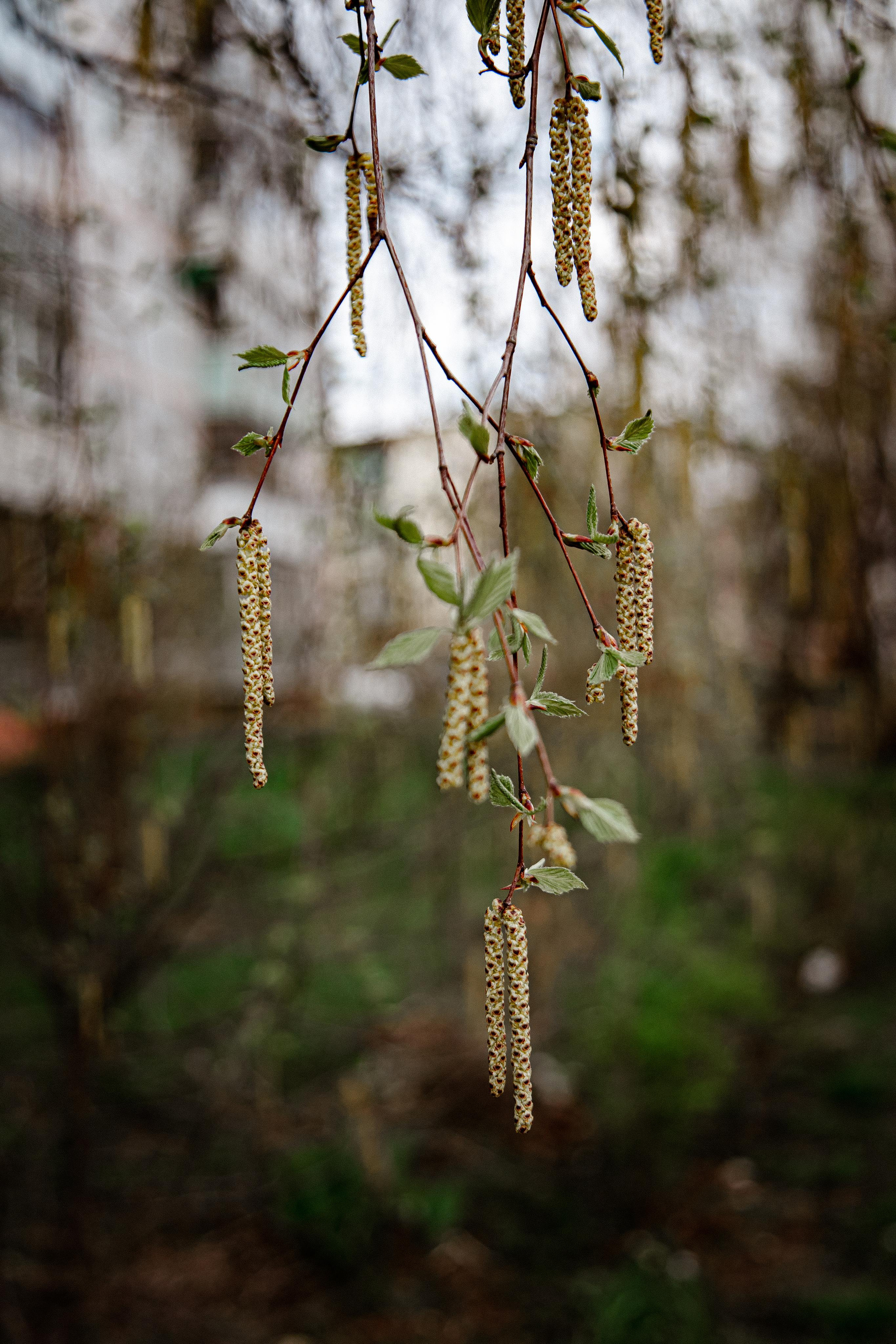 Серпухов. Photographer Sonkina Tatiana (Tanya Ash)