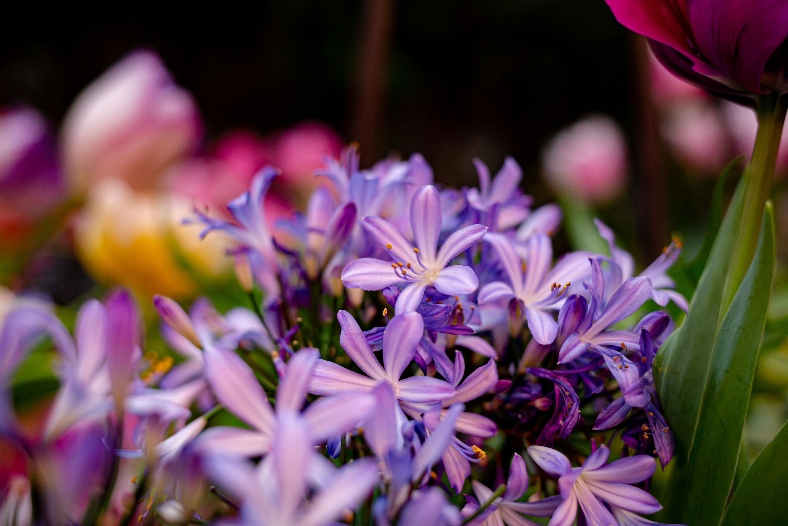 Выставка «Репетиция весны». Photographer Sonkina Tatiana (Tanya Ash)
