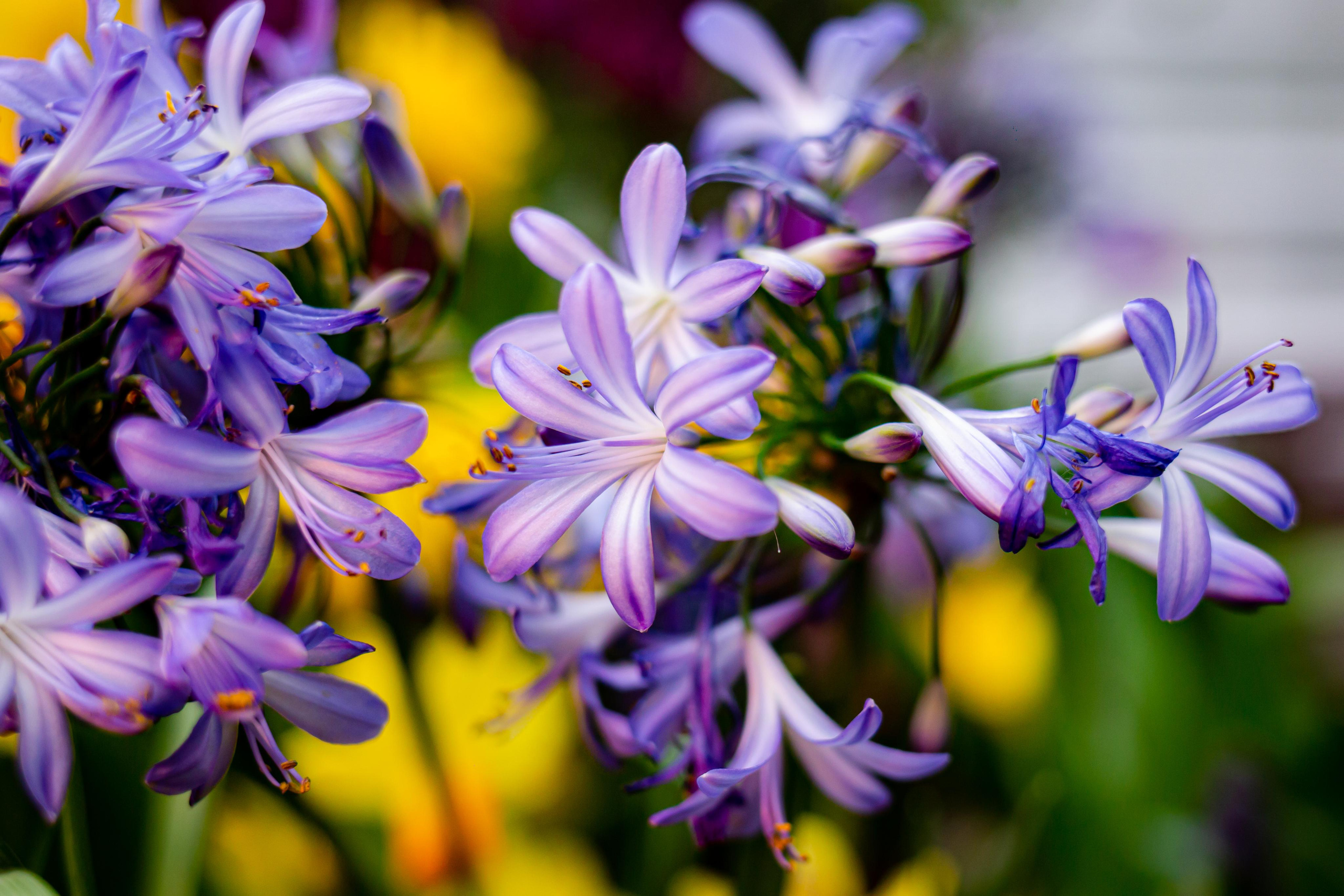Выставка «Репетиция весны». Photographer Sonkina Tatiana (Tanya Ash)
