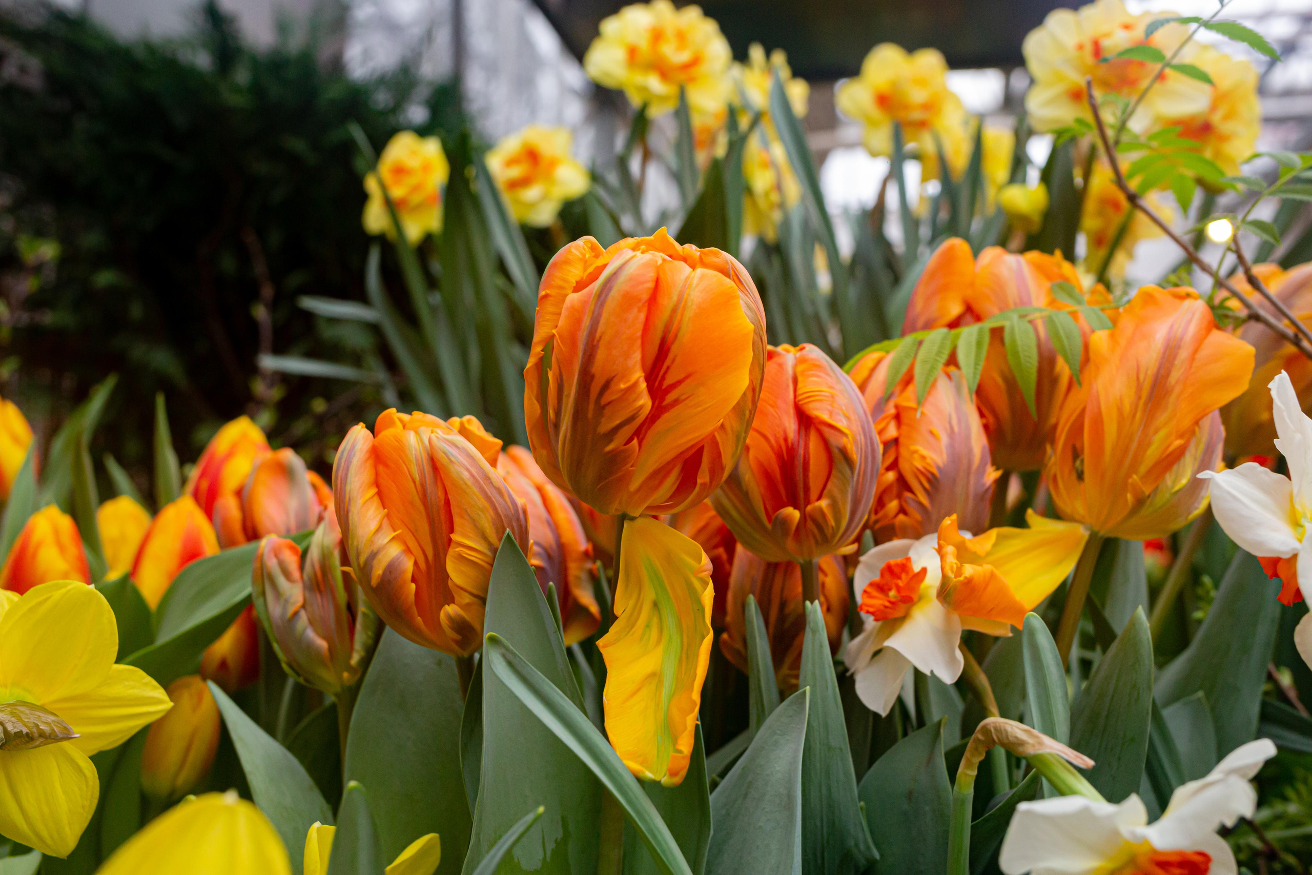 Выставка «Репетиция весны». Photographer Sonkina Tatiana (Tanya Ash)