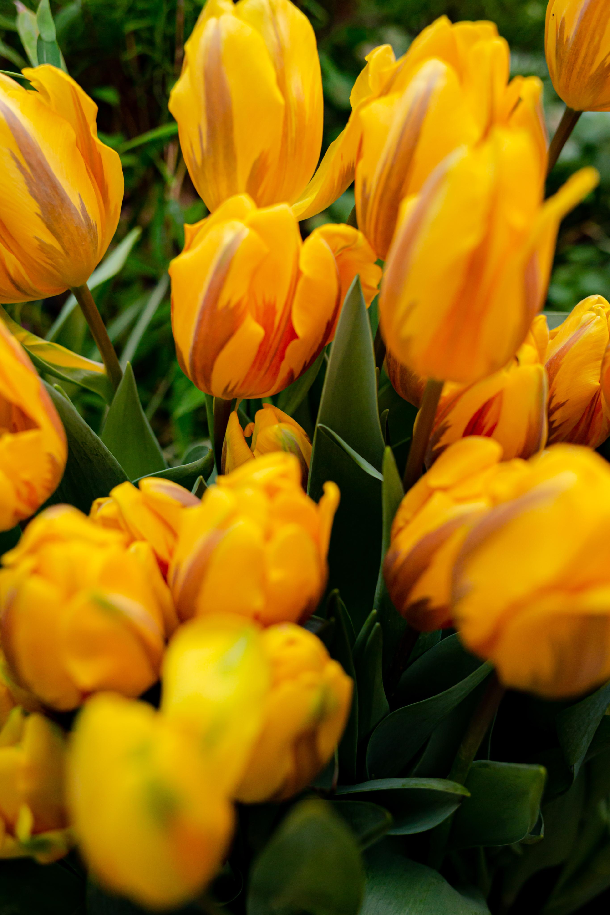 Выставка «Репетиция весны». Photographer Sonkina Tatiana (Tanya Ash)