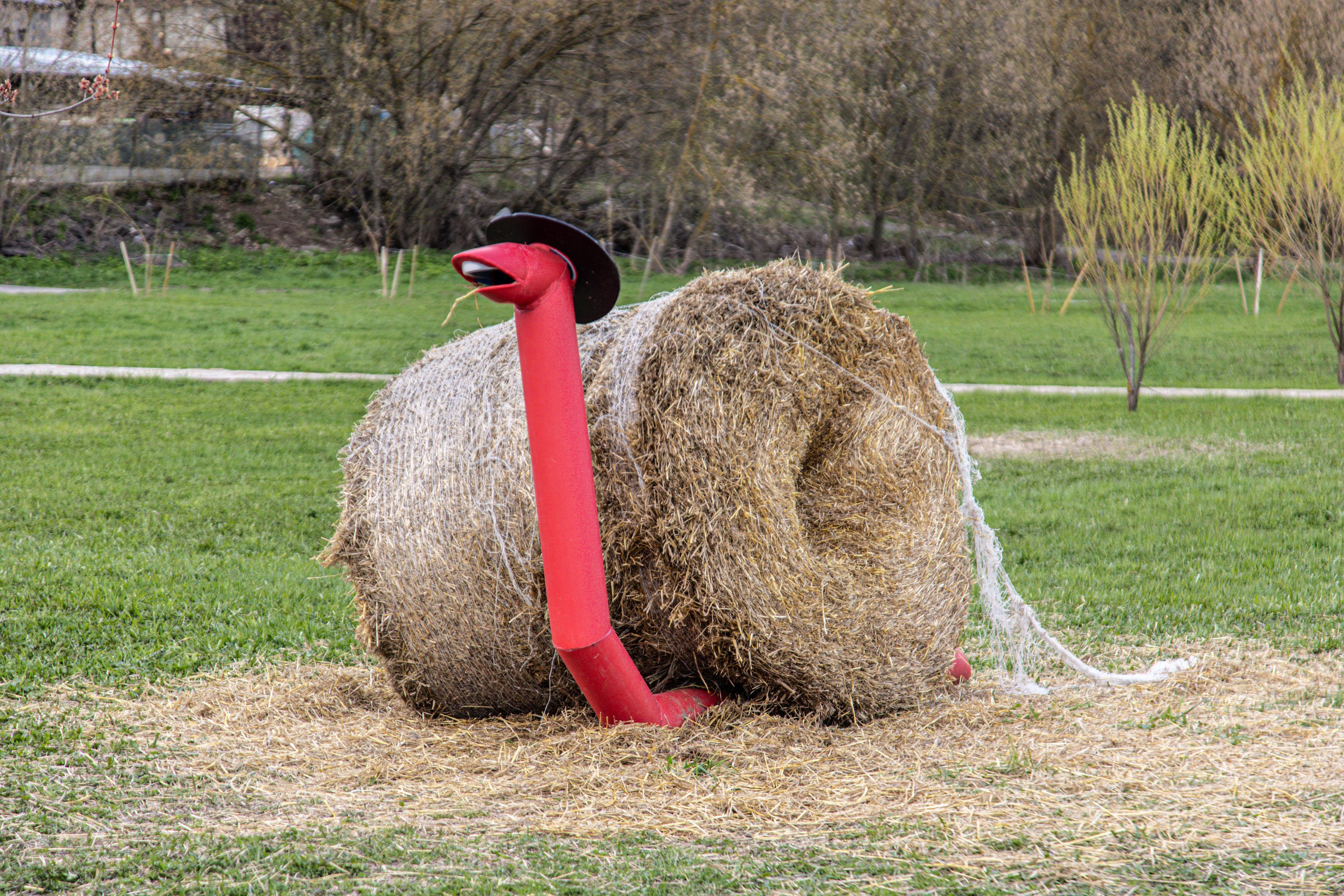 Серпухов. Photographer Sonkina Tatiana (Tanya Ash)