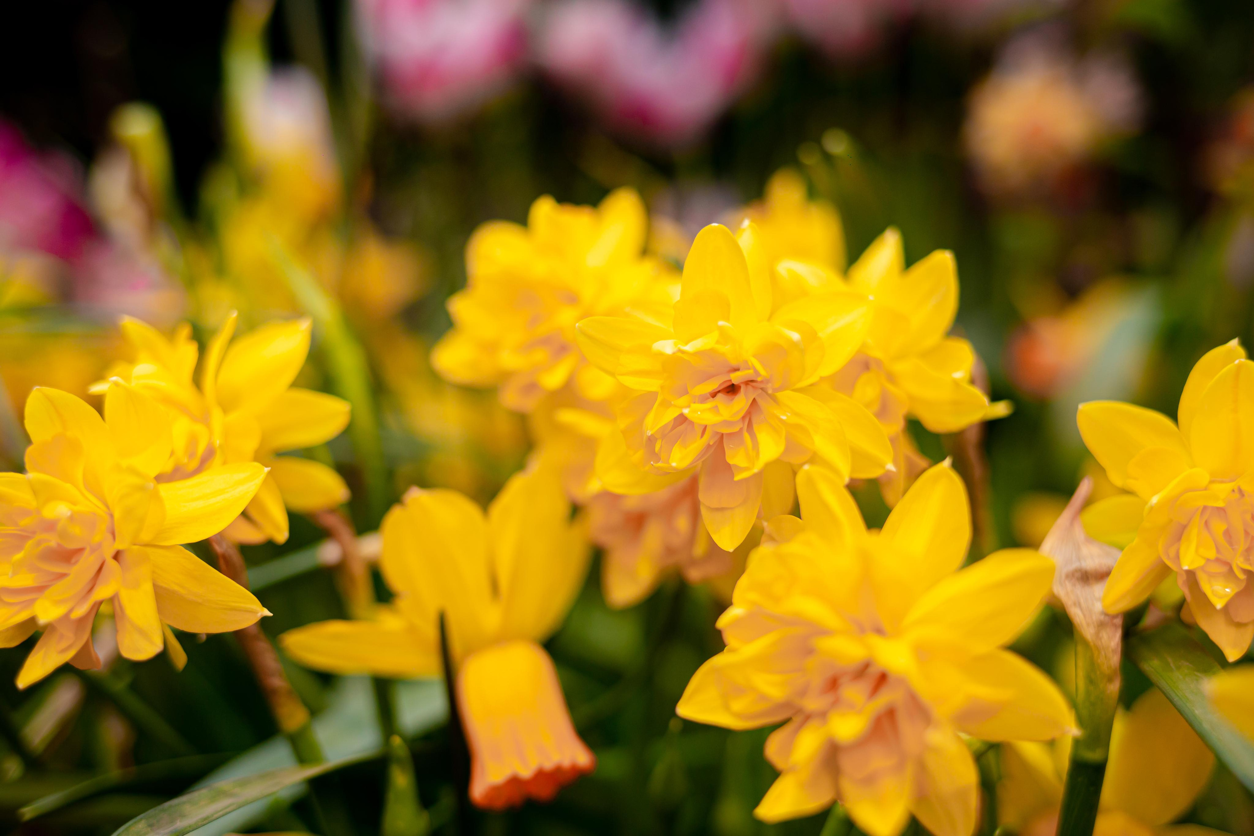 Выставка «Репетиция весны». Photographer Sonkina Tatiana (Tanya Ash)