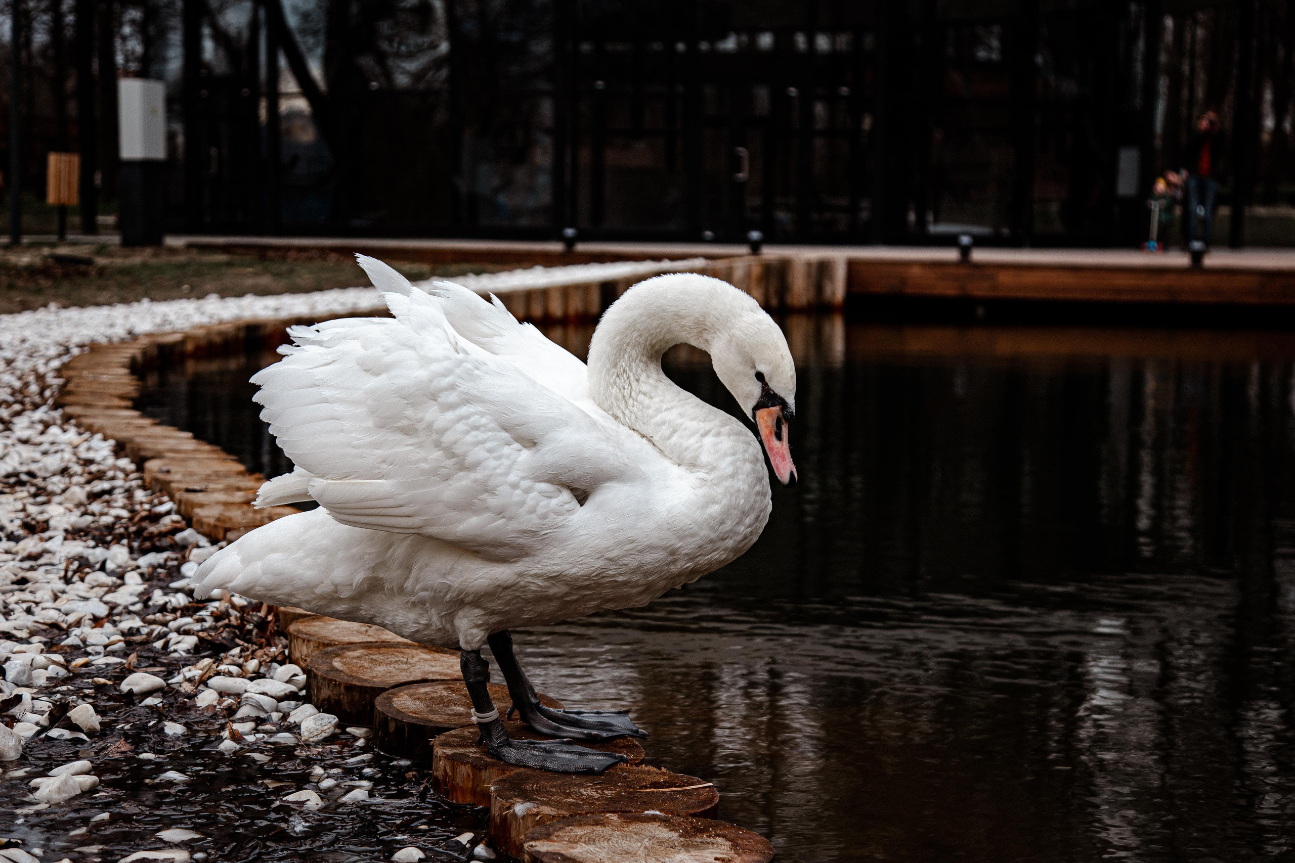 Серпухов. Photographer Sonkina Tatiana (Tanya Ash)