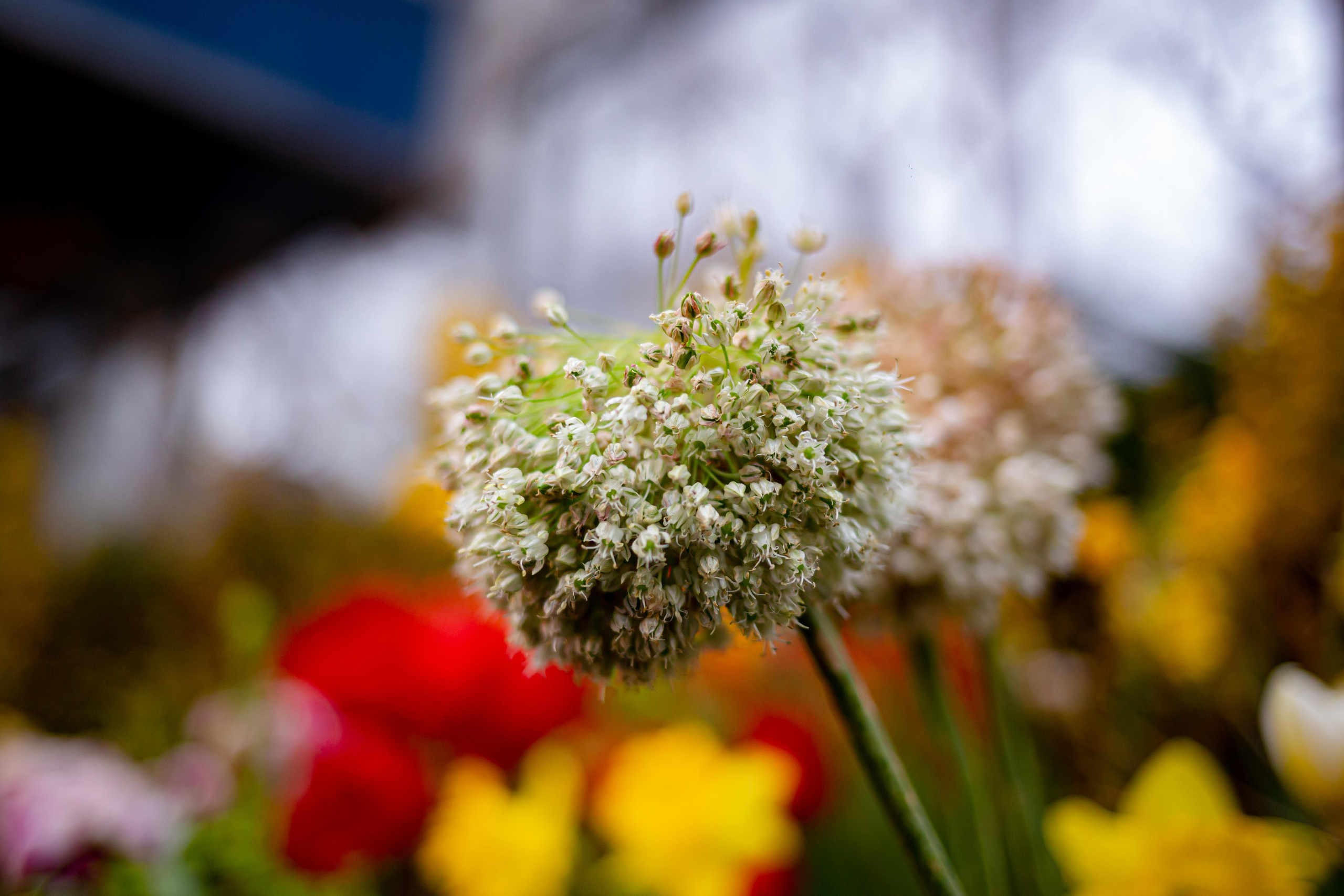 Выставка «Репетиция весны». Photographer Sonkina Tatiana (Tanya Ash)