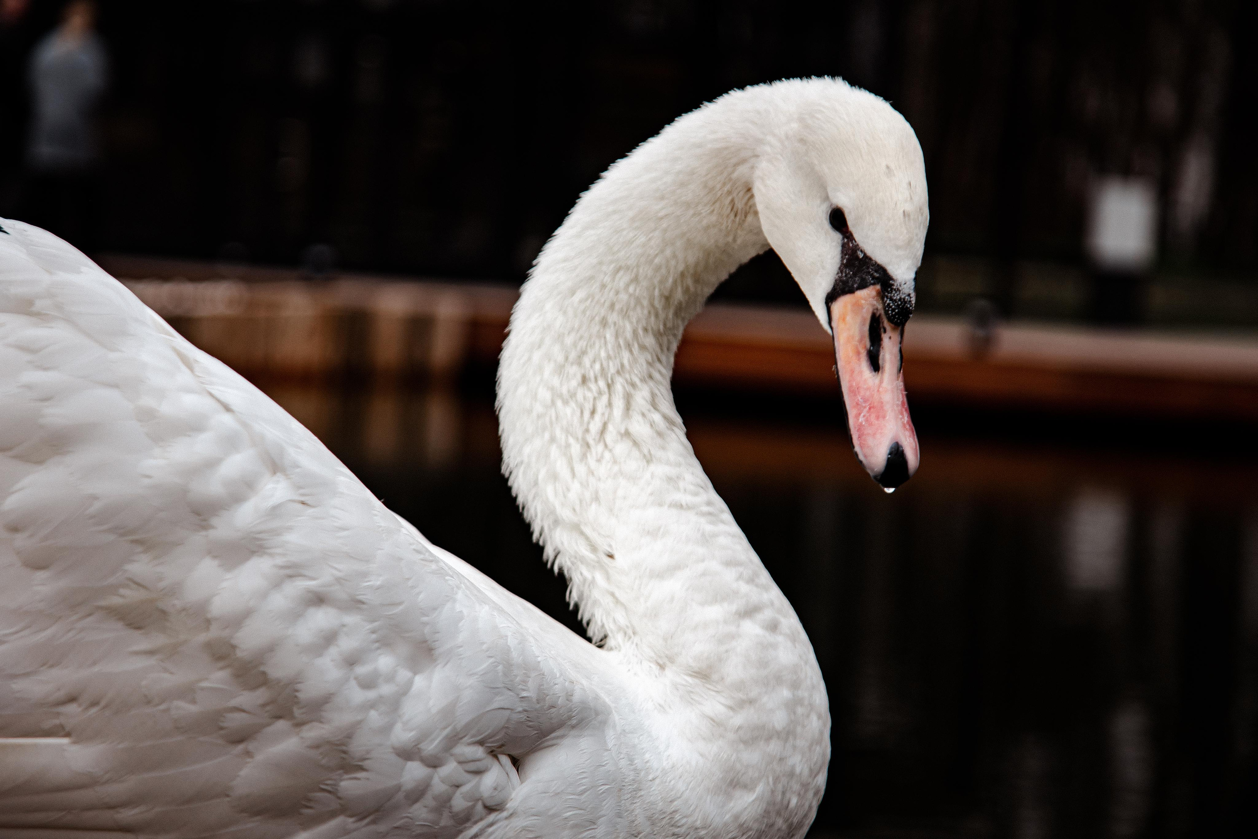 Серпухов. Photographer Sonkina Tatiana (Tanya Ash)