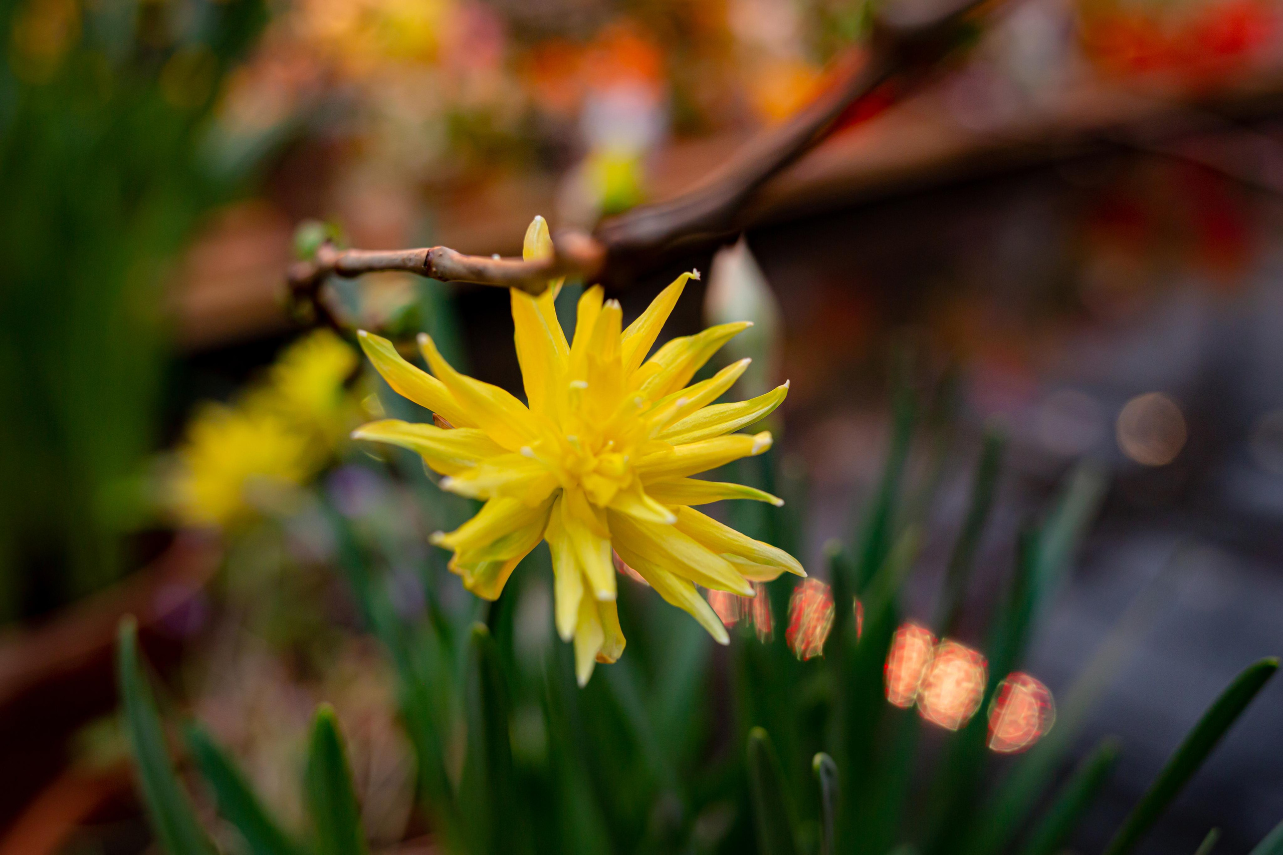 Выставка «Репетиция весны». Photographer Sonkina Tatiana (Tanya Ash)