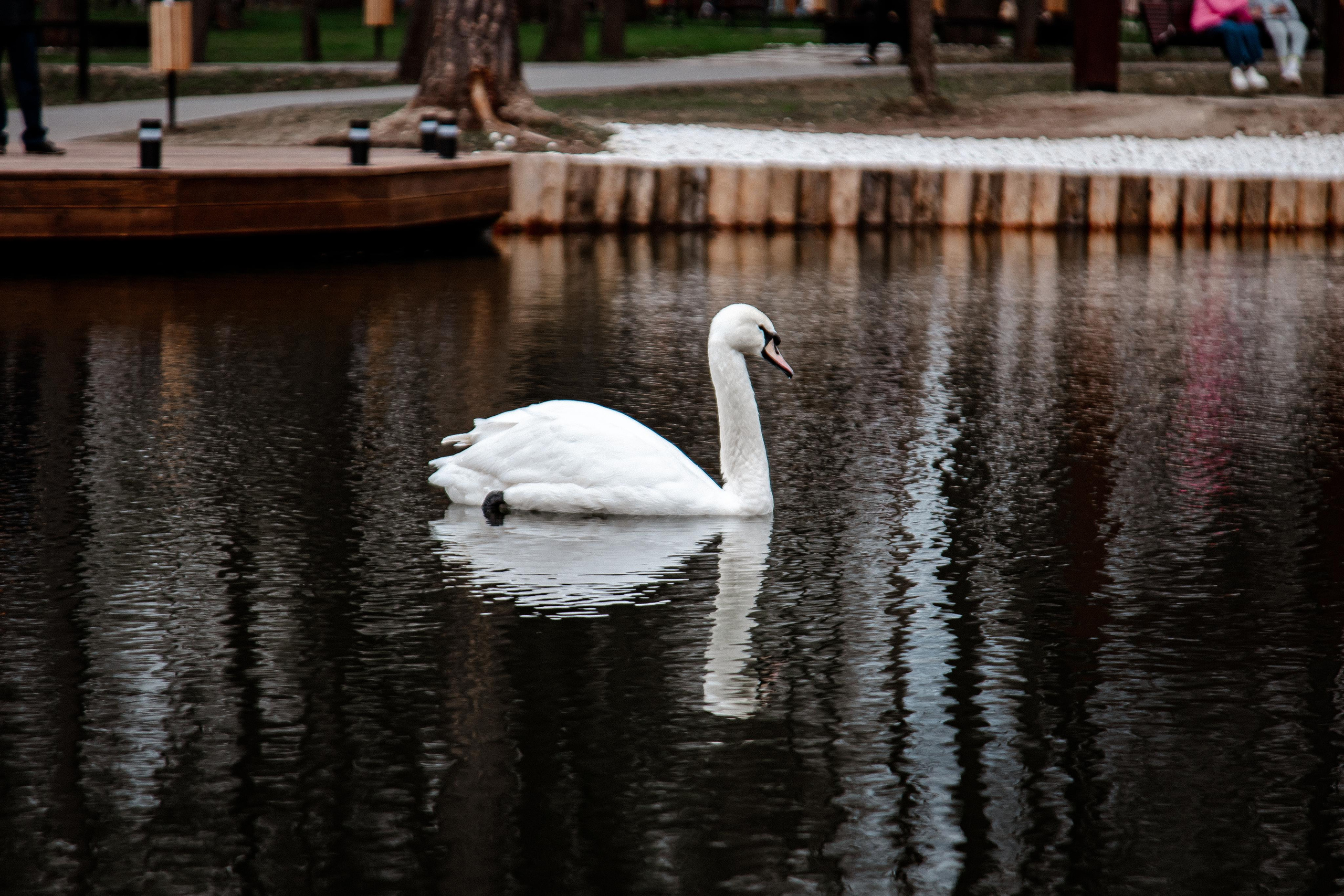 Серпухов. Photographer Sonkina Tatiana (Tanya Ash)