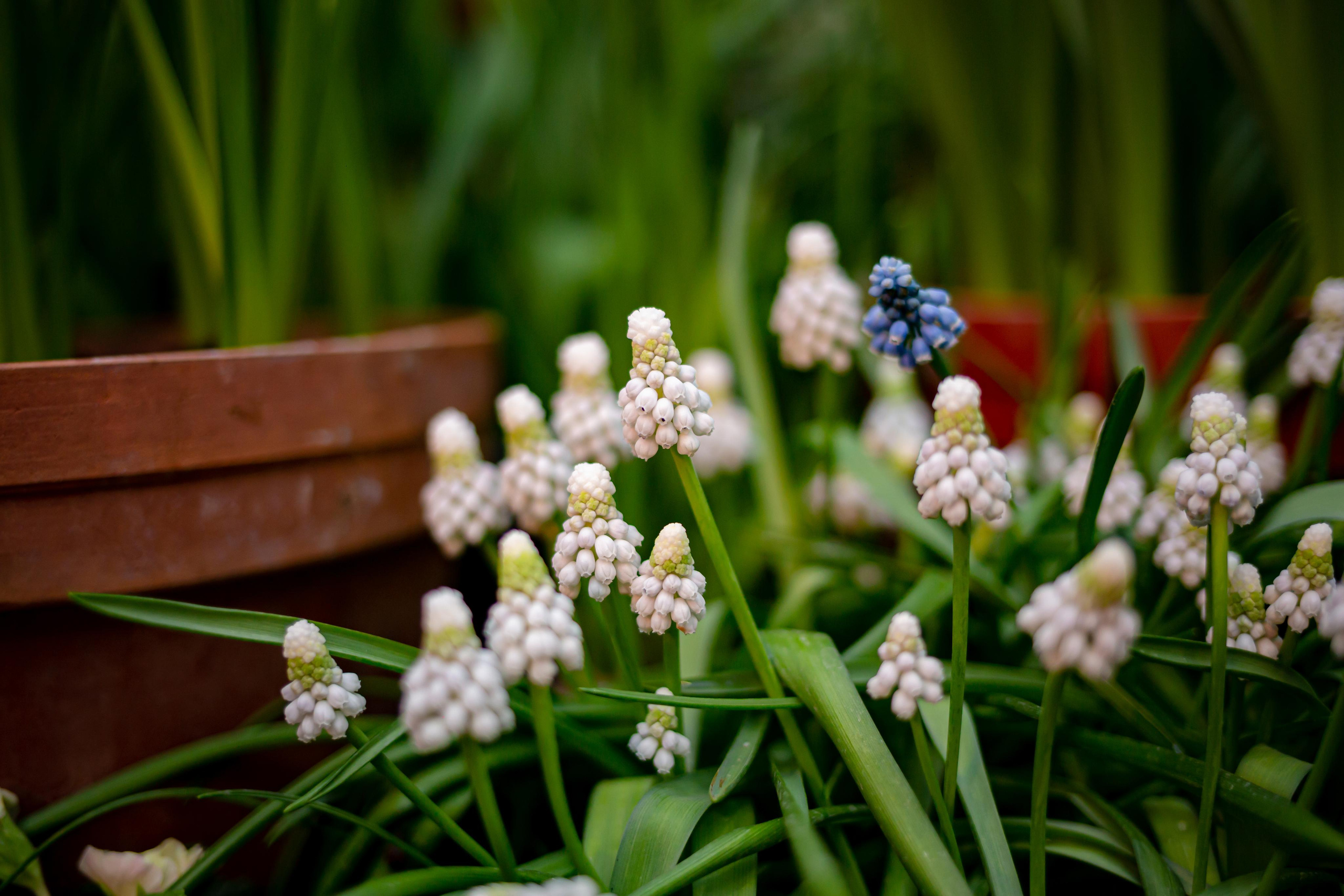 Выставка «Репетиция весны». Photographer Sonkina Tatiana (Tanya Ash)