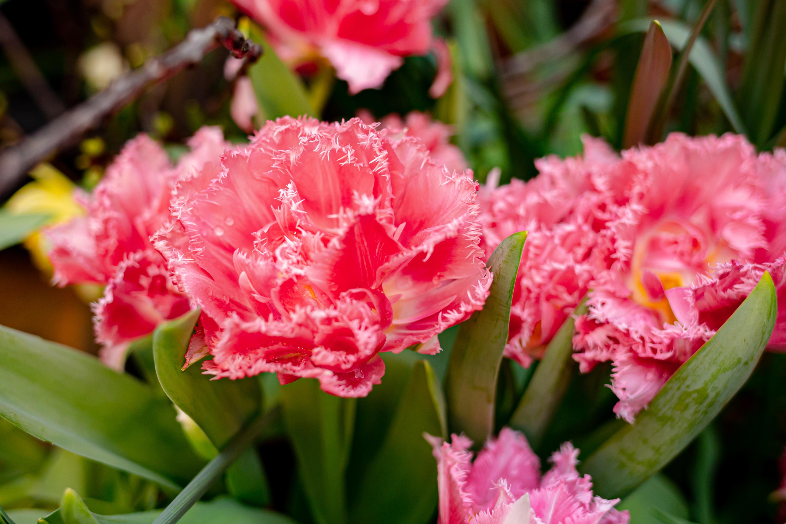 Выставка «Репетиция весны». Photographer Sonkina Tatiana (Tanya Ash)