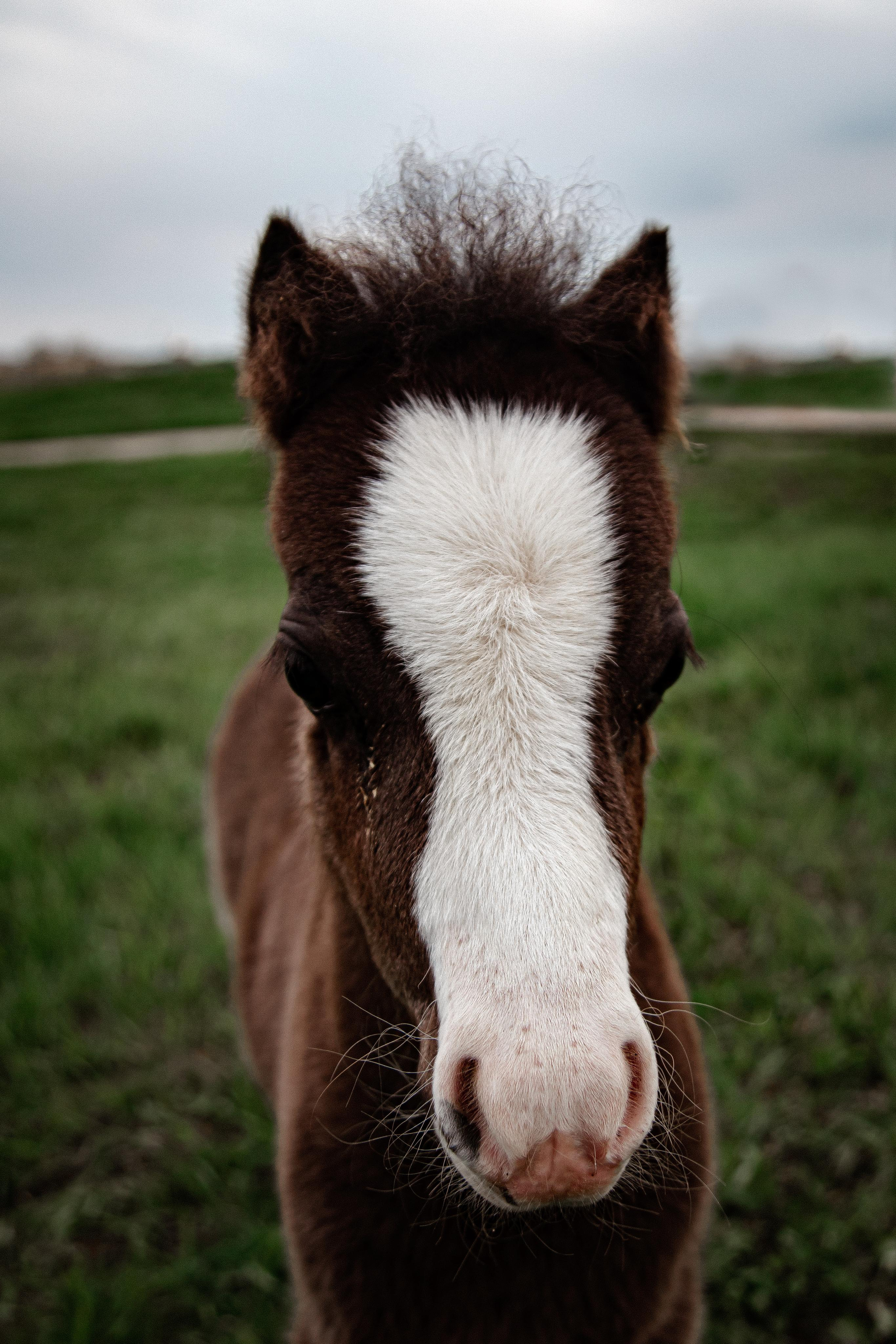 Серпухов. Photographer Sonkina Tatiana (Tanya Ash)
