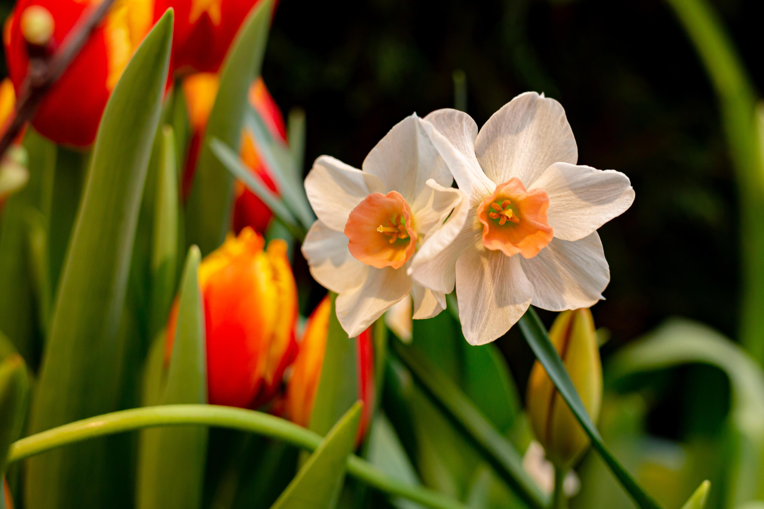 Выставка «Репетиция весны». Photographer Sonkina Tatiana (Tanya Ash)