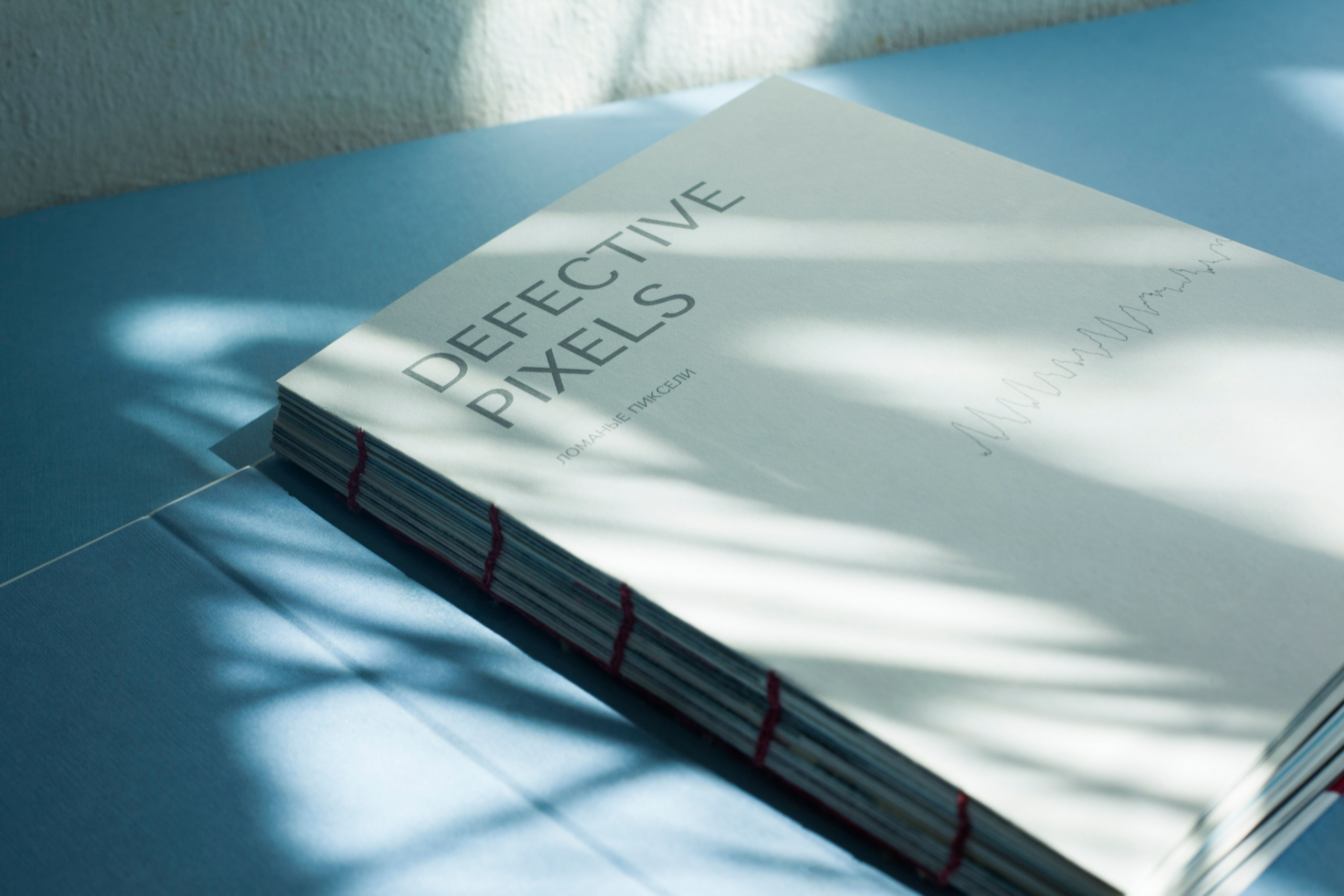 A book about the project. Aleksandra Mikhailova multimedia artist