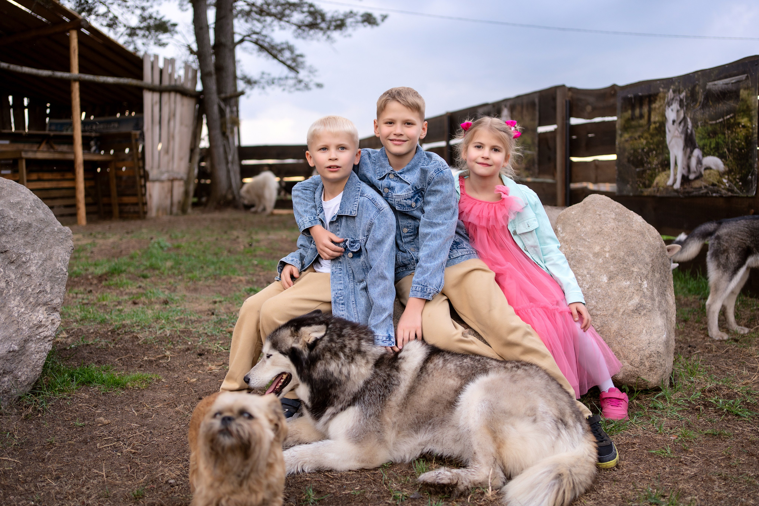 Хаски парк. Семейный и свадебный фотограф Минск, Беларусь Анна Орловская