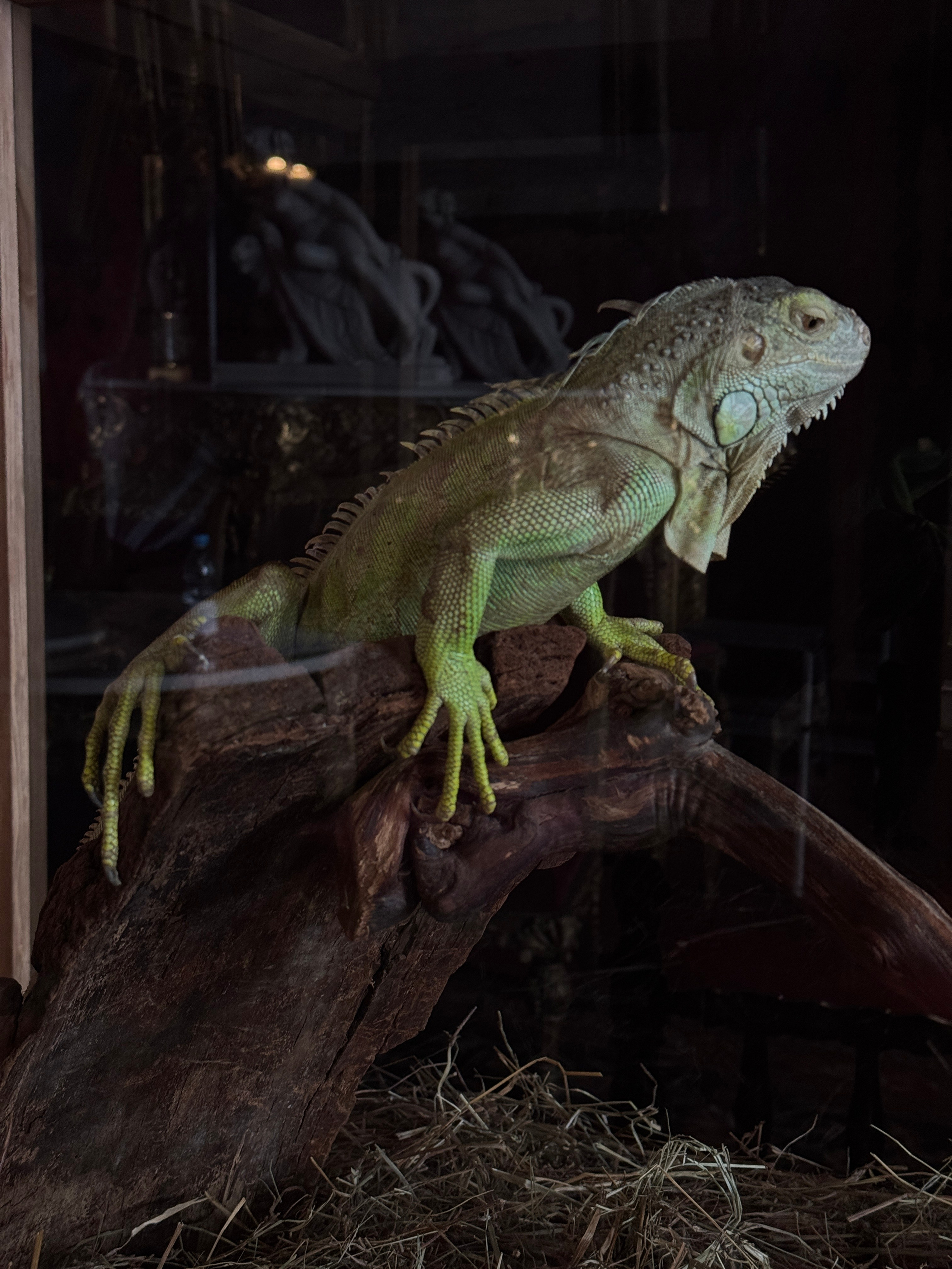 Работа на съёмочной площадке. Фильм «Левша». Фотограф в Санкт-Петербурге Кристина Ильинская