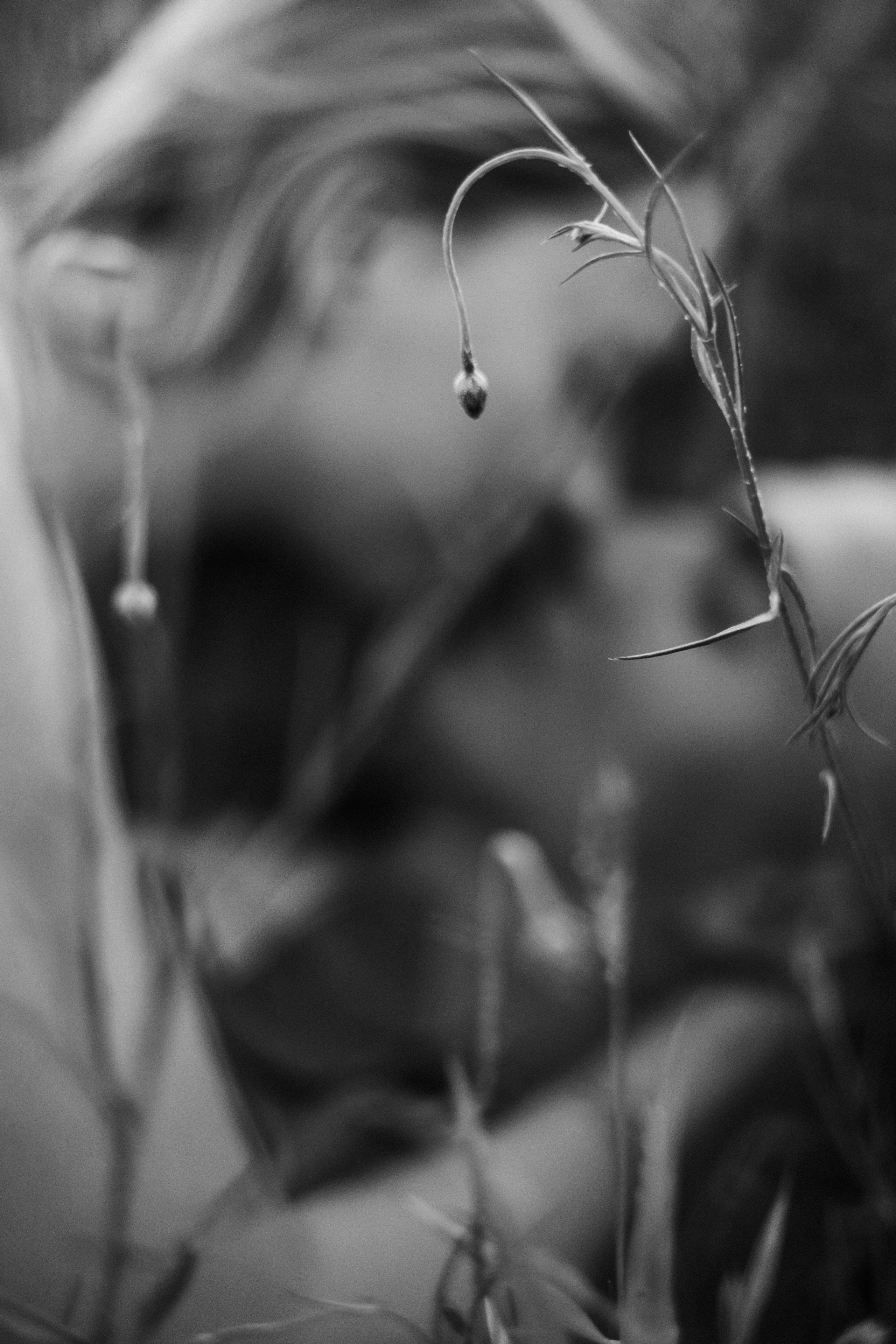 Love story. Свадебный фотограф в Калининграде Филоненко Наталья