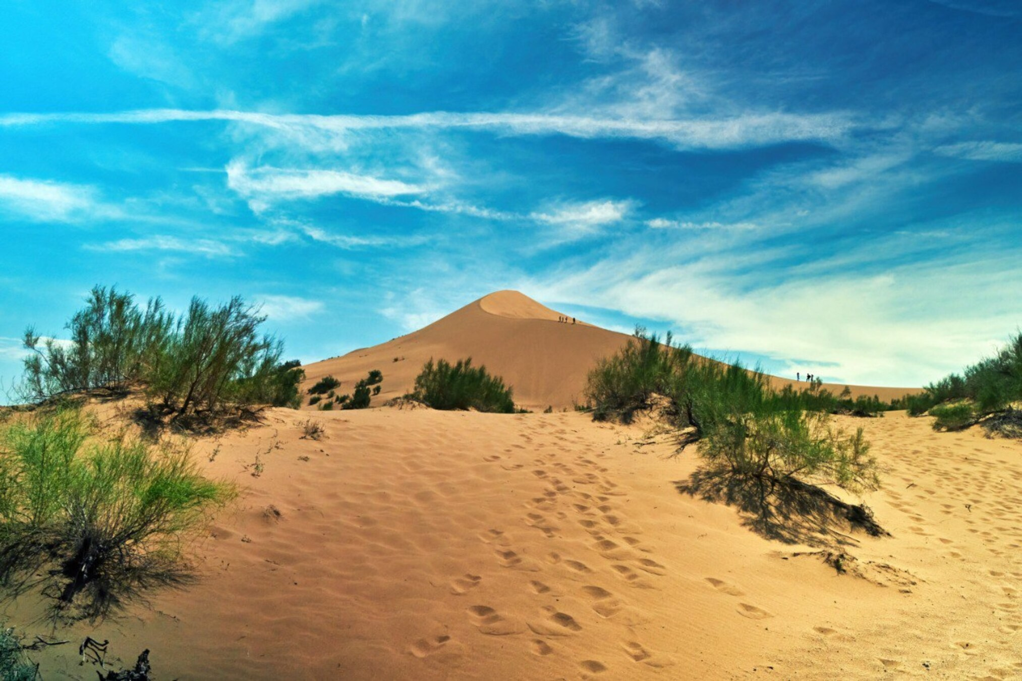 Экскурсия и тур на 4 дня Золотое кольцо Жетысу