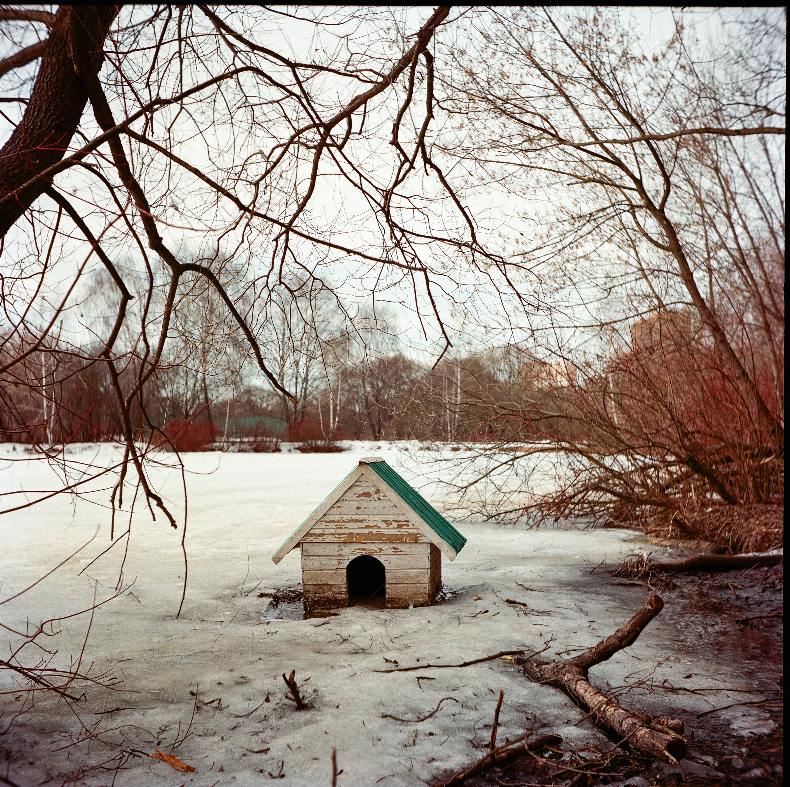 Walzflex с объективом Nitto Kogaku Kominar 75 mm f/3.5 / Aerocolor IV