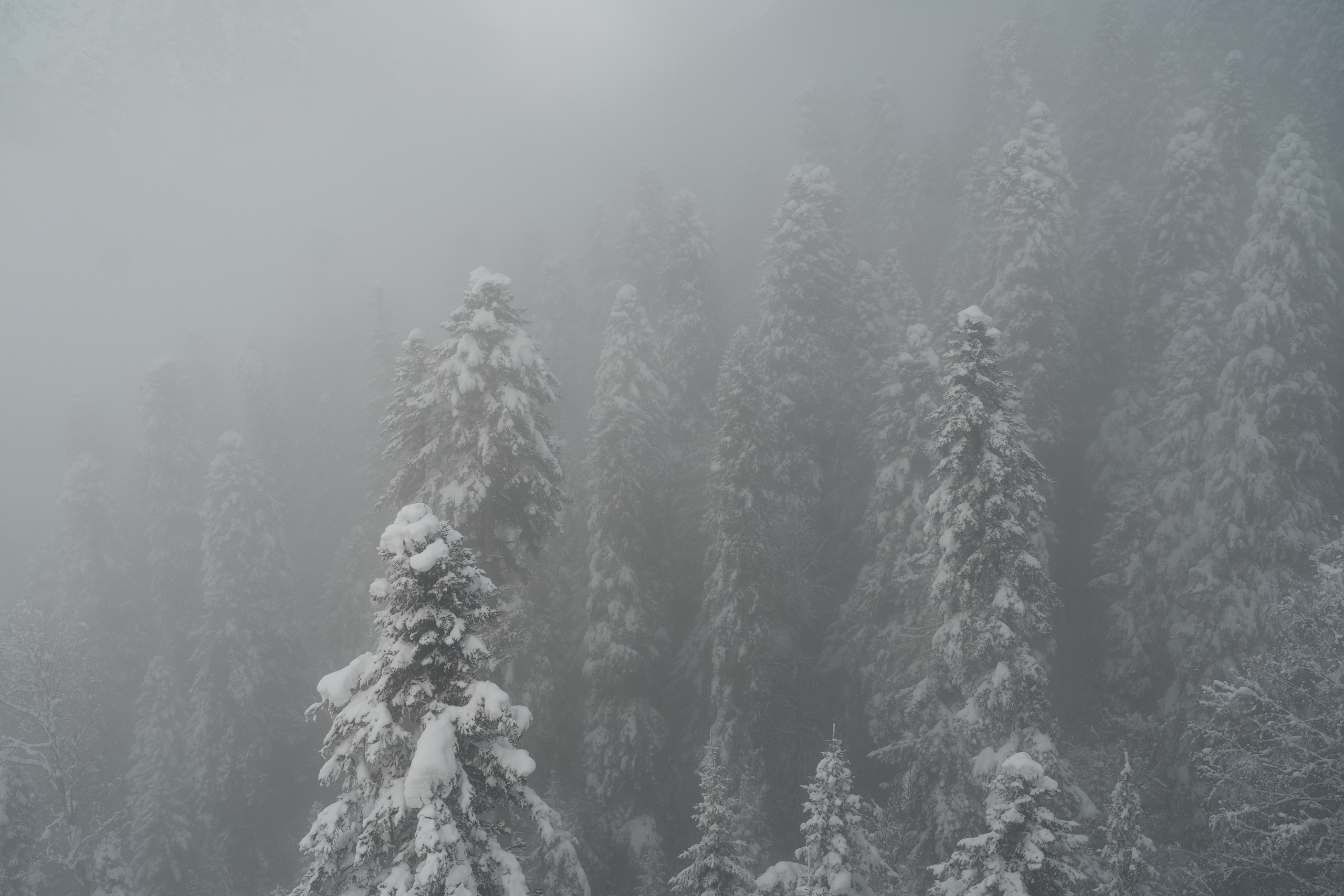 Блог. Фотограф и видеограф Елена Хмелевская