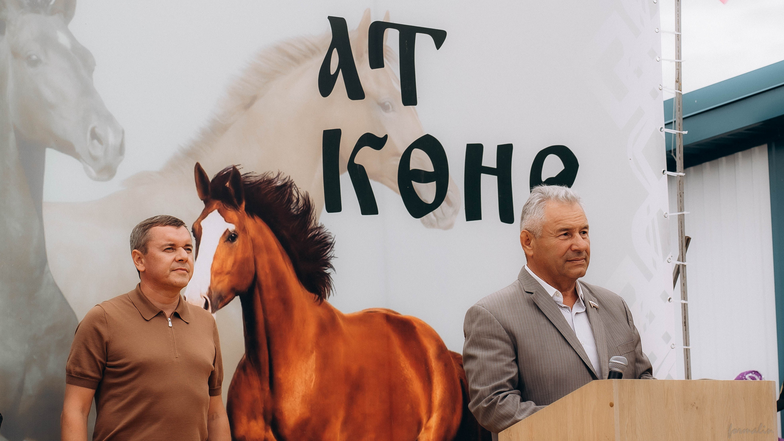 День Коня. Алиса Никитцова | Фотограф в Казани