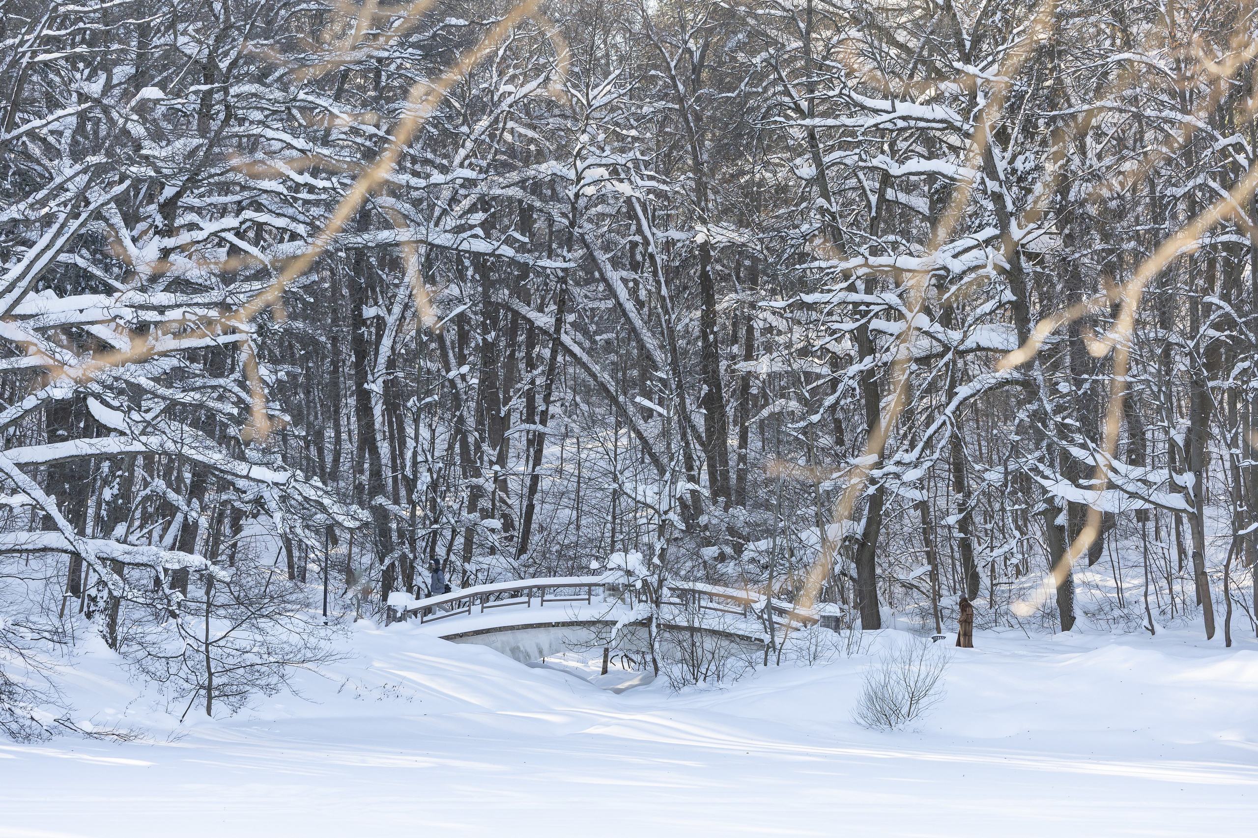 Природа. Фотограф Владимир Охрименко