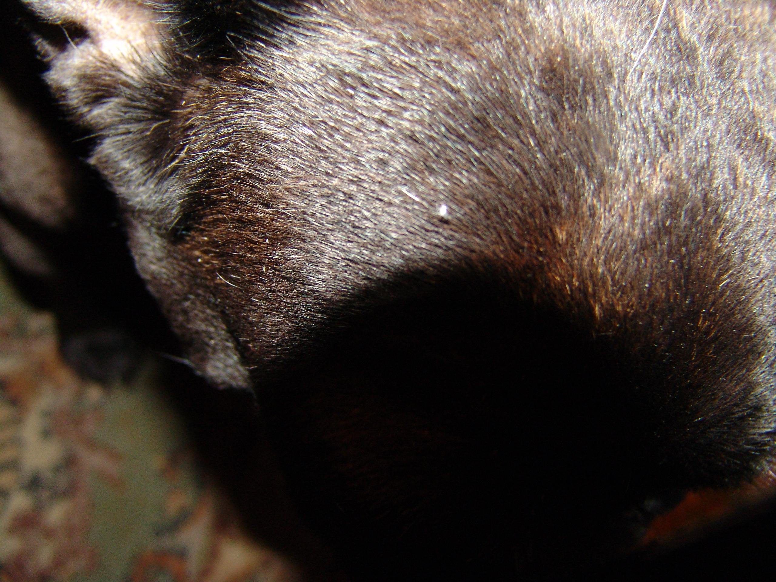 Приезд КС 2005. Заставка