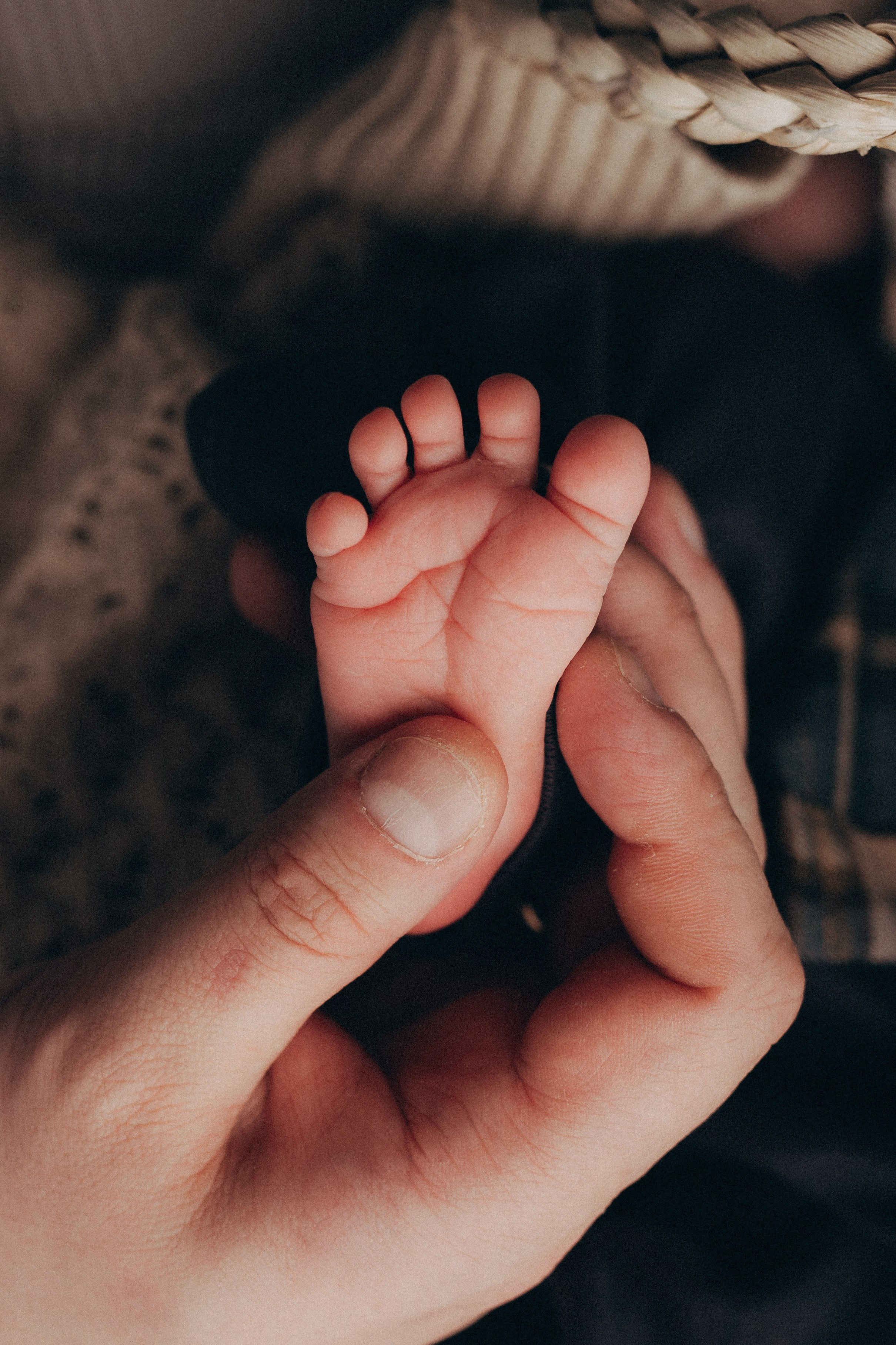 NEWBORN NATURAL. Фотограф новорожденных в Ярославле Ольга Зимина