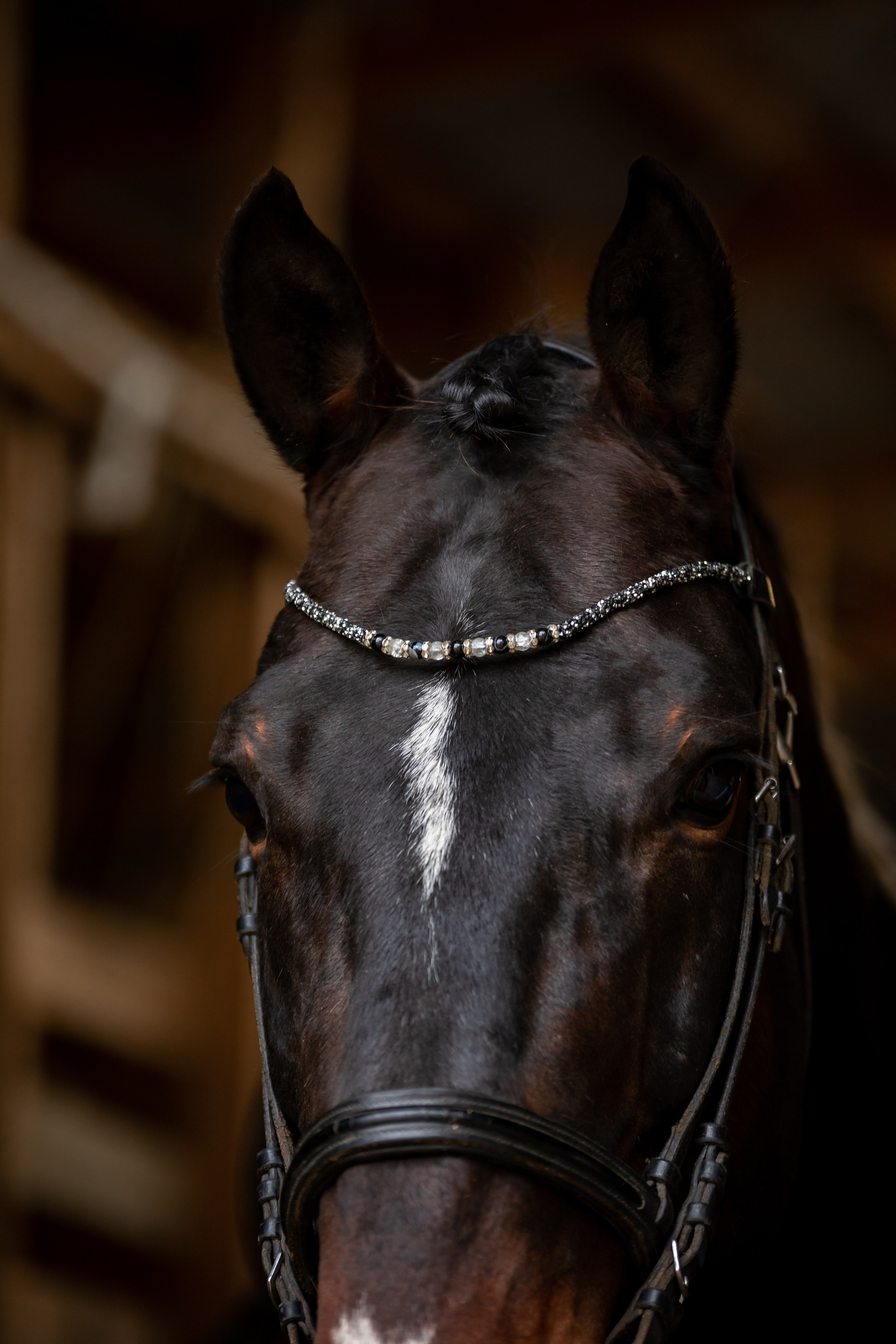Гардарика. Ася Пчелинцева, фотограф в СПб и ЛО