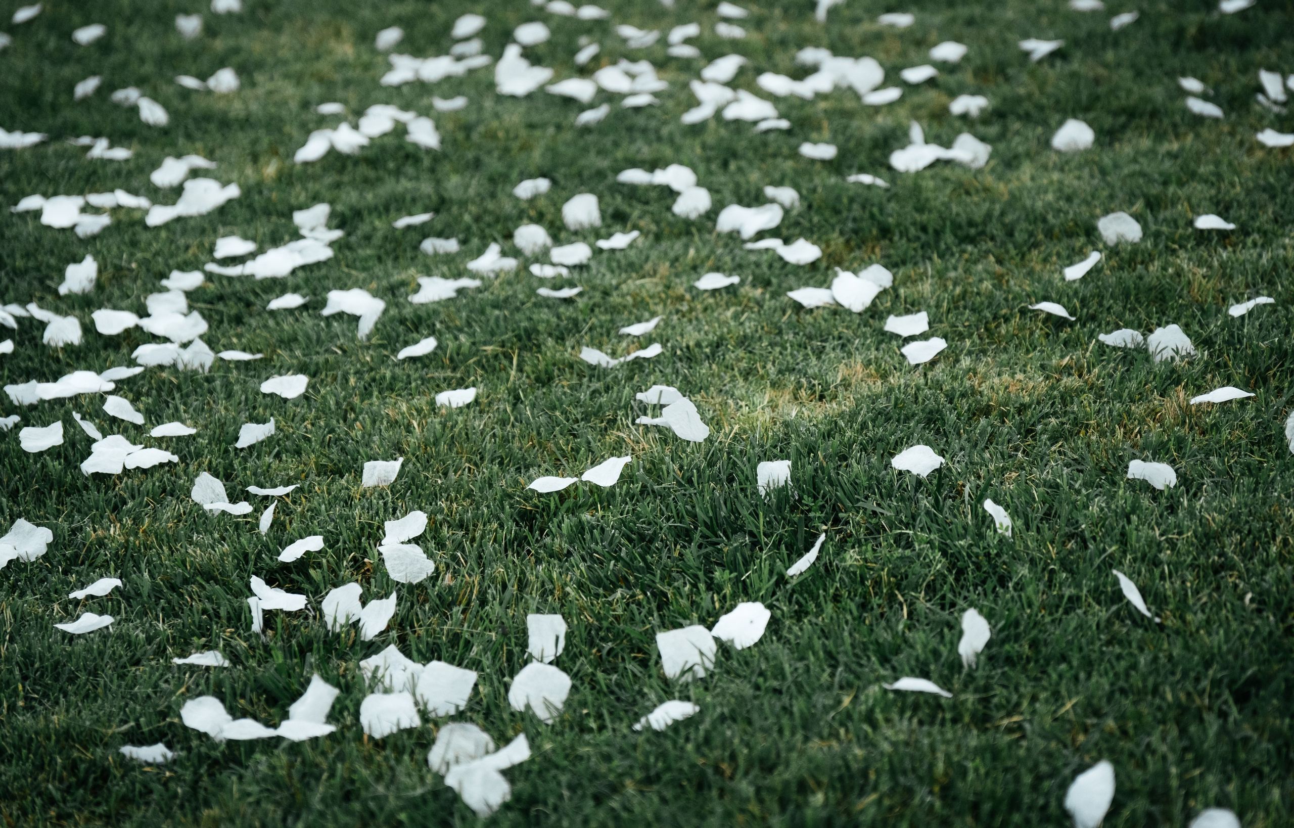 Свадебные серии. Свадебный фотограф Астрахань Рамиль Хабибуллин