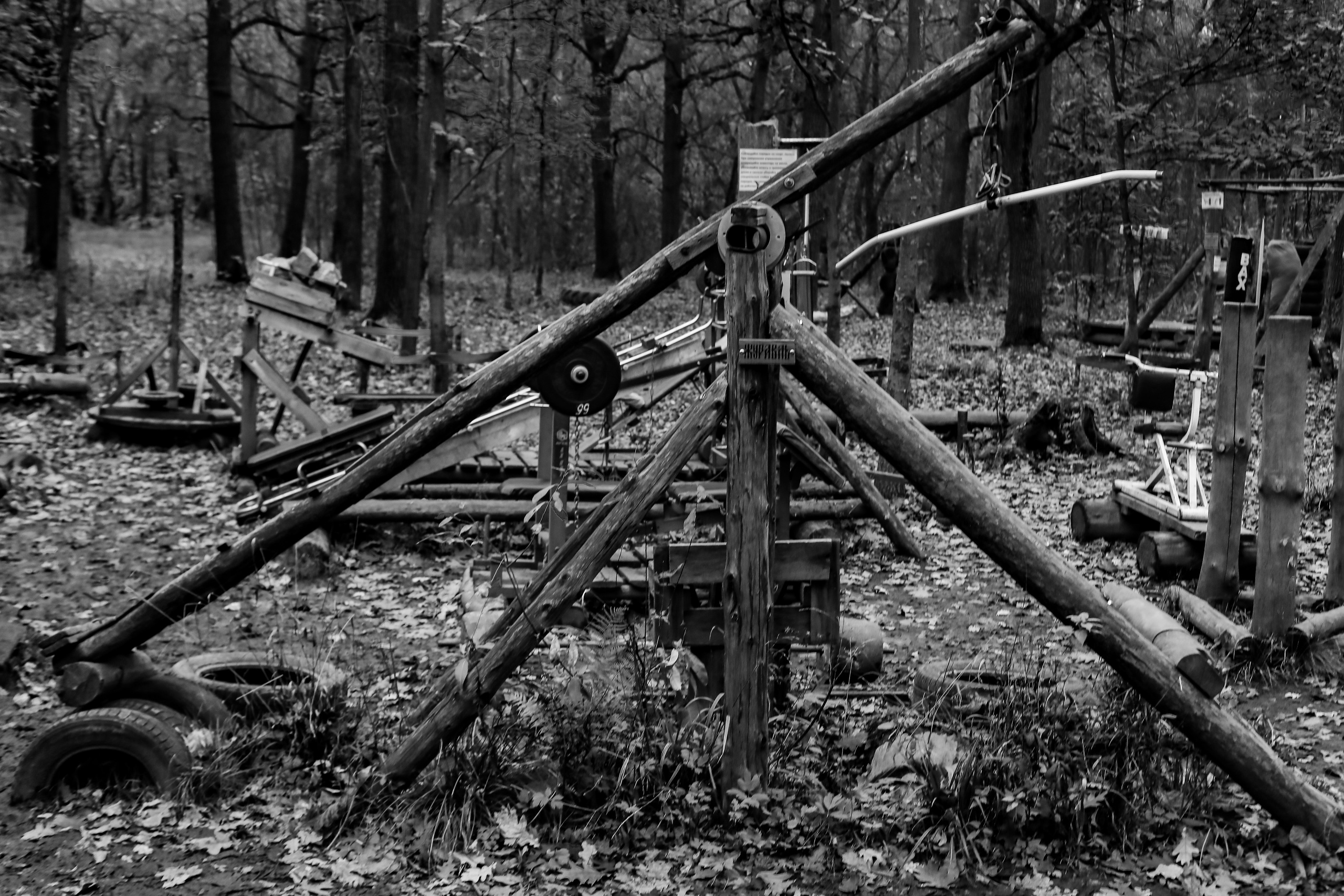 Качалка в лесу — 2022. Стас Привалов