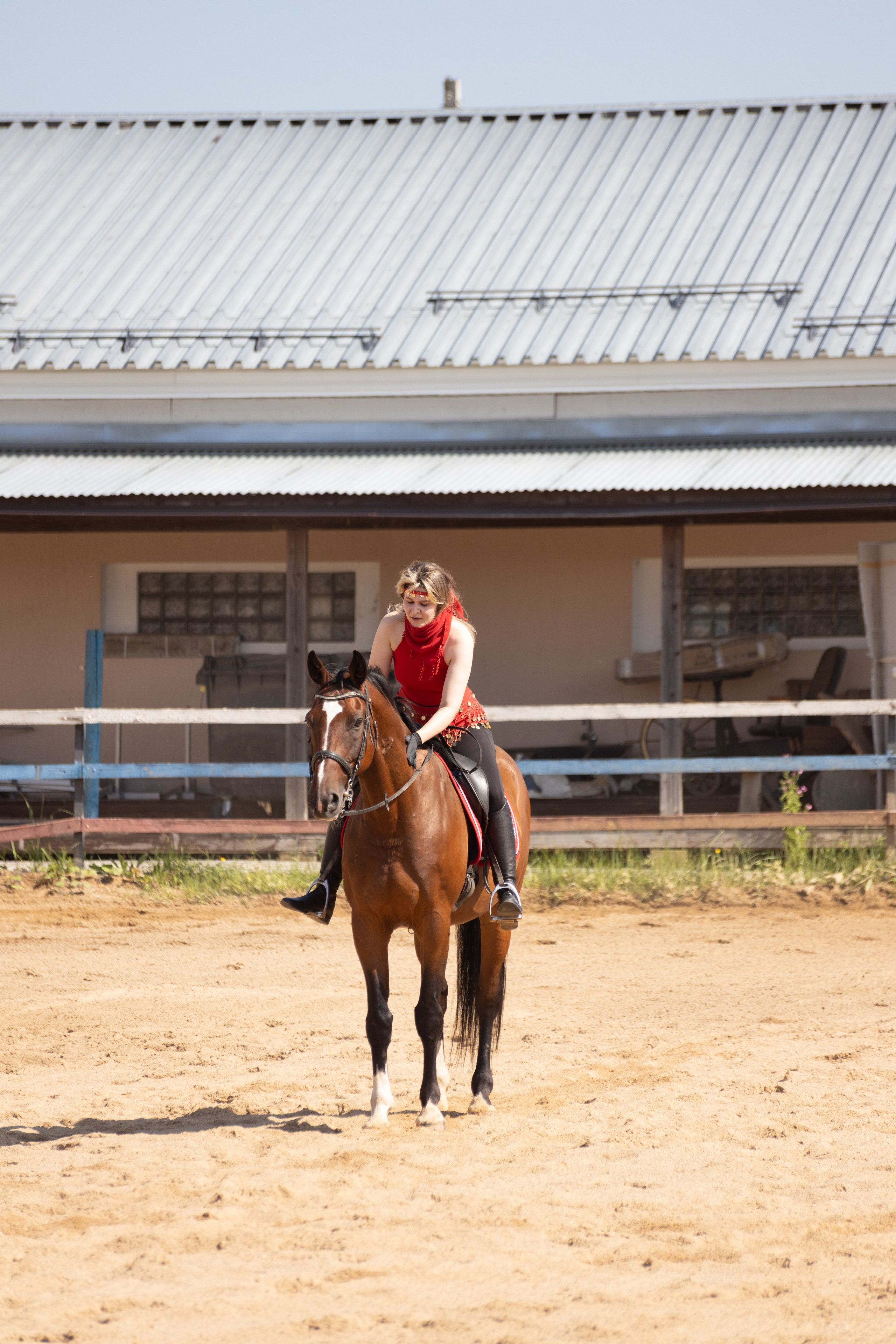 Конюшня. Фотограф в Москве и Истре