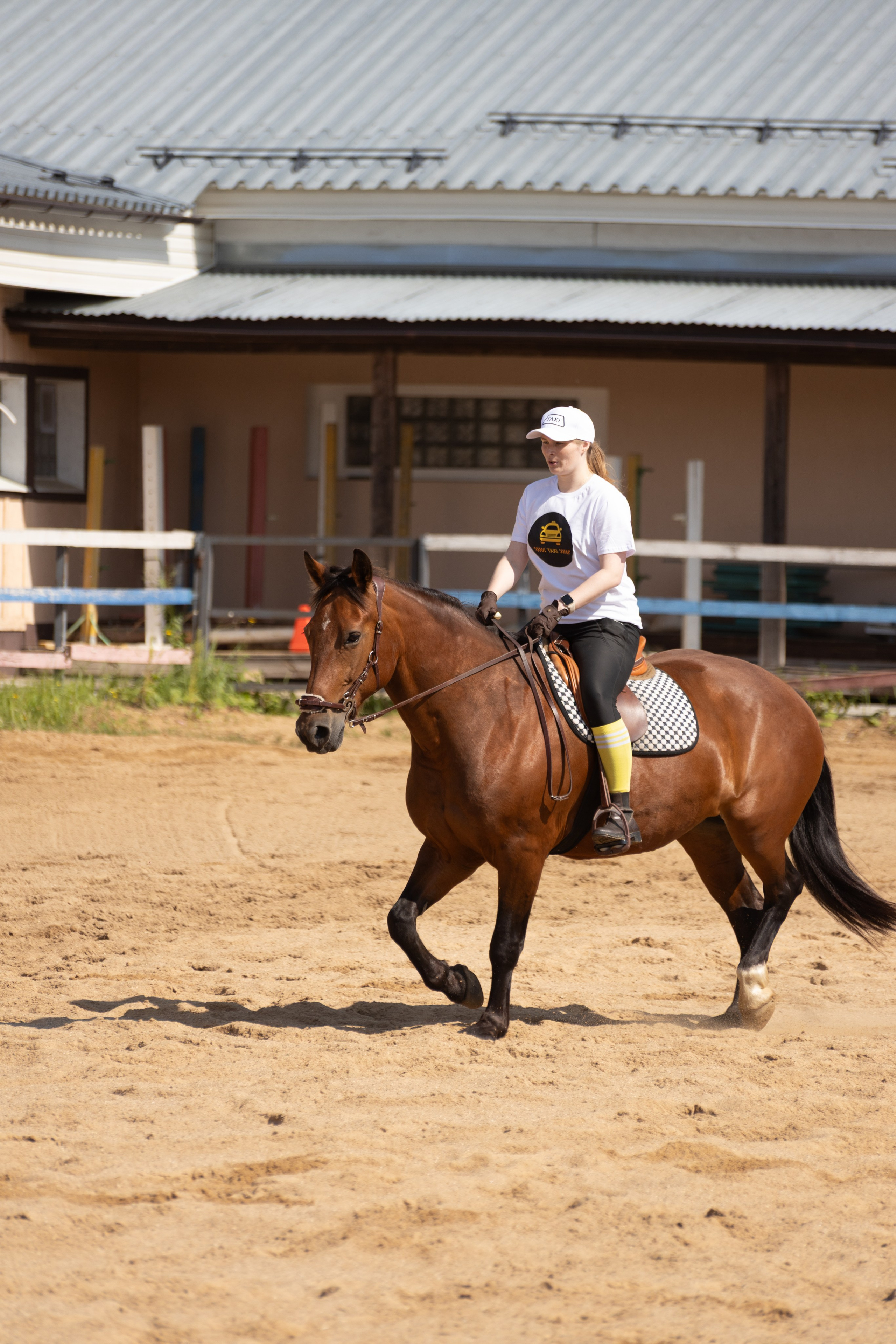 Конюшня. Фотограф в Москве и Истре