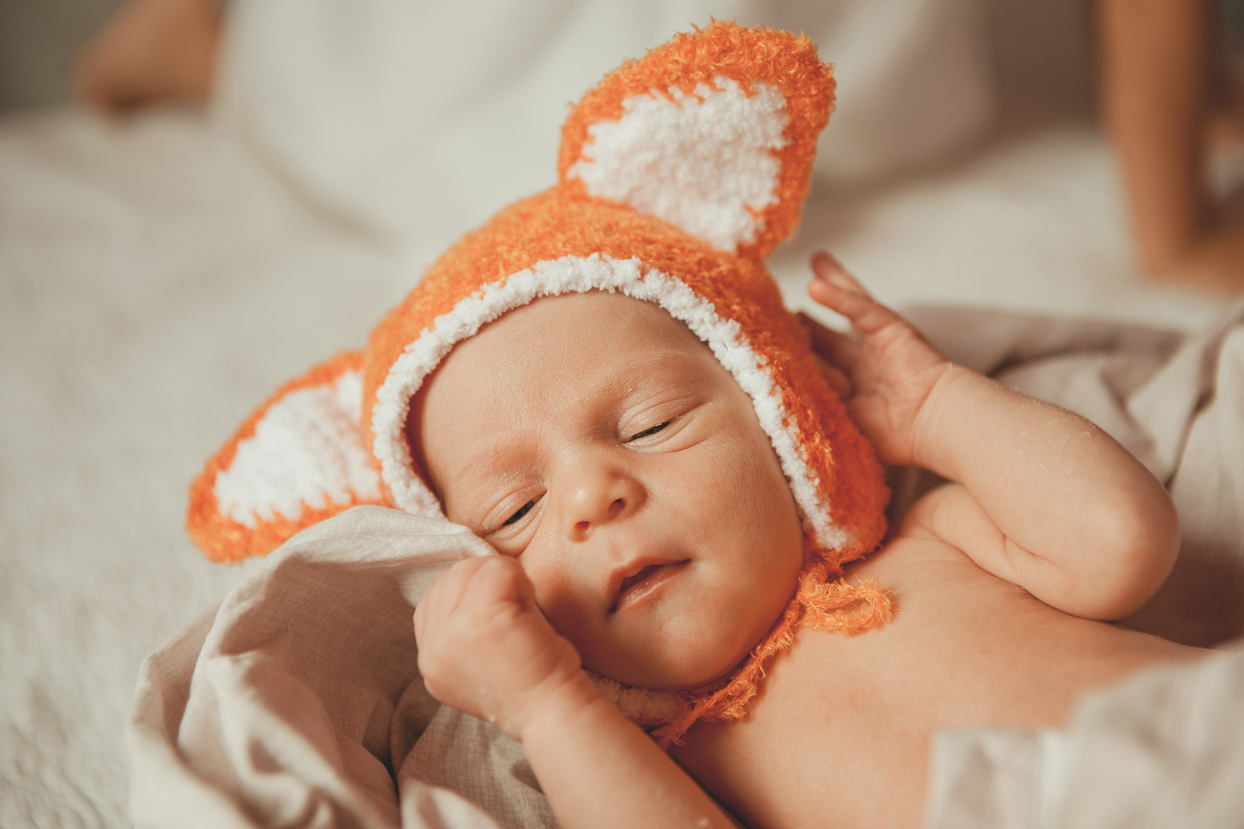 Гордей. Фотограф Ольга Ефремова