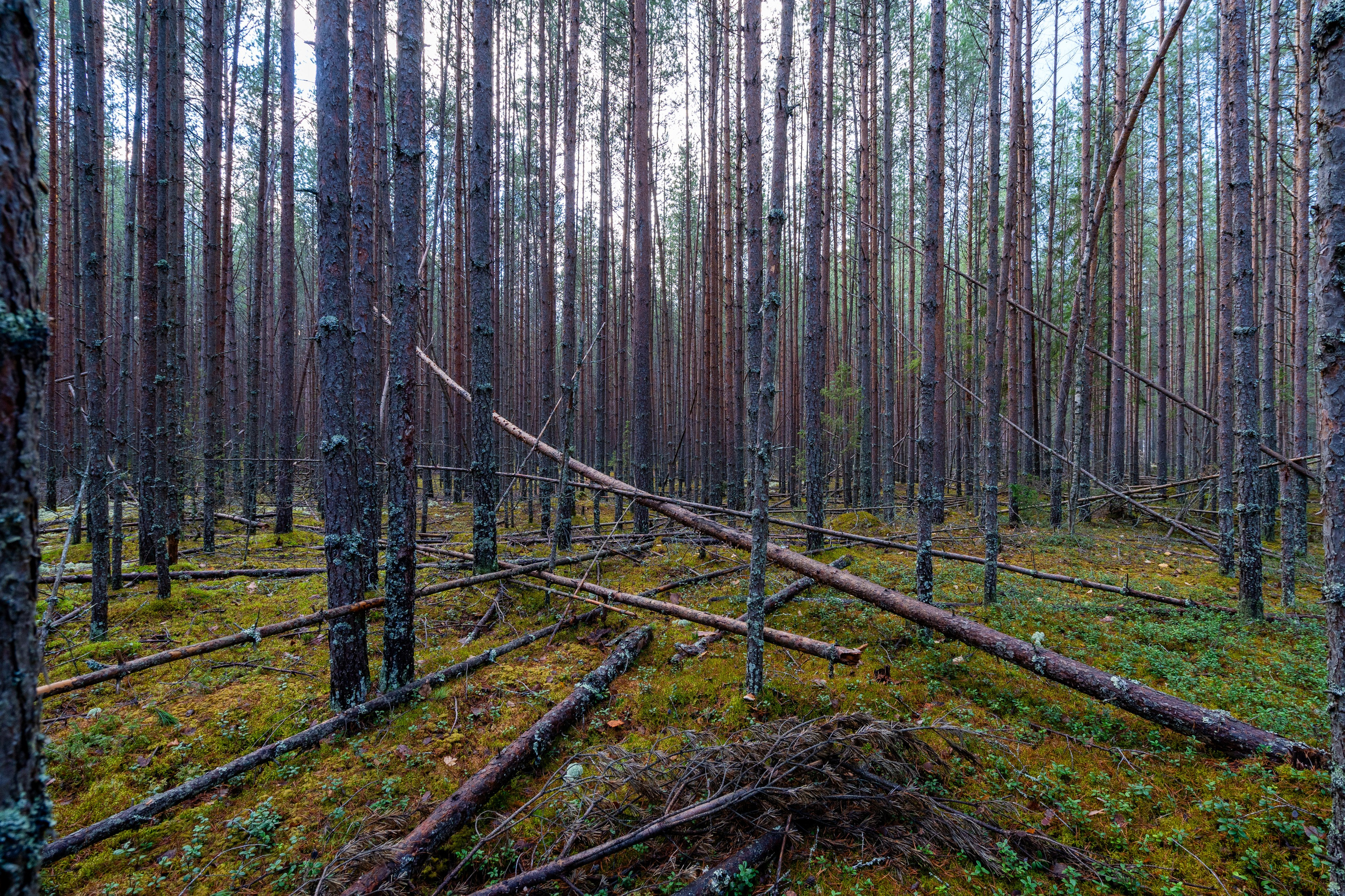 Творчество фотографа Евгения Расторгуева. Интерьерный фотограф Евгений Расторгуев