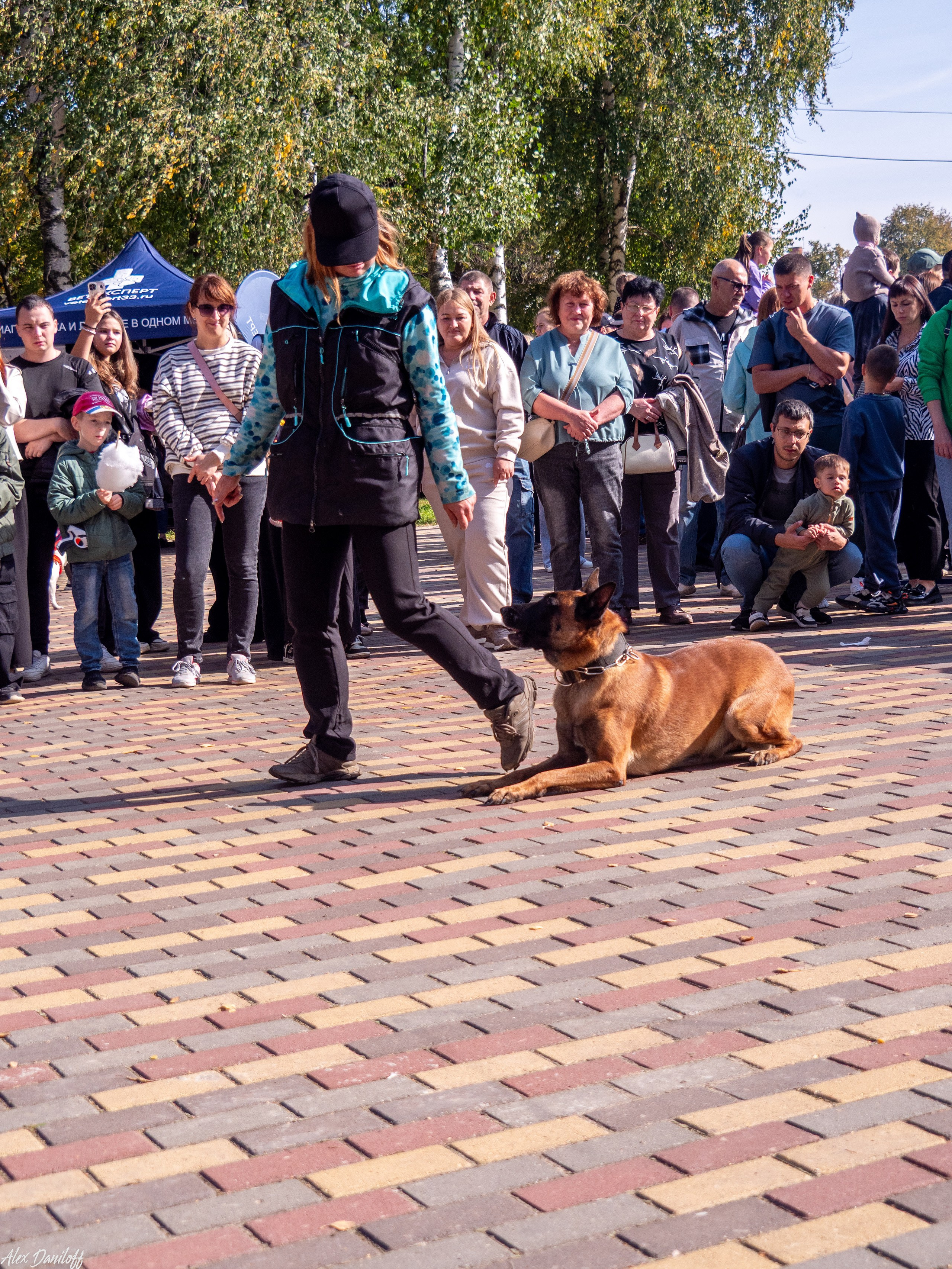 Обнимака 2025. Муром-Инфо. Новости культуры, образования, спорта в городе Муром