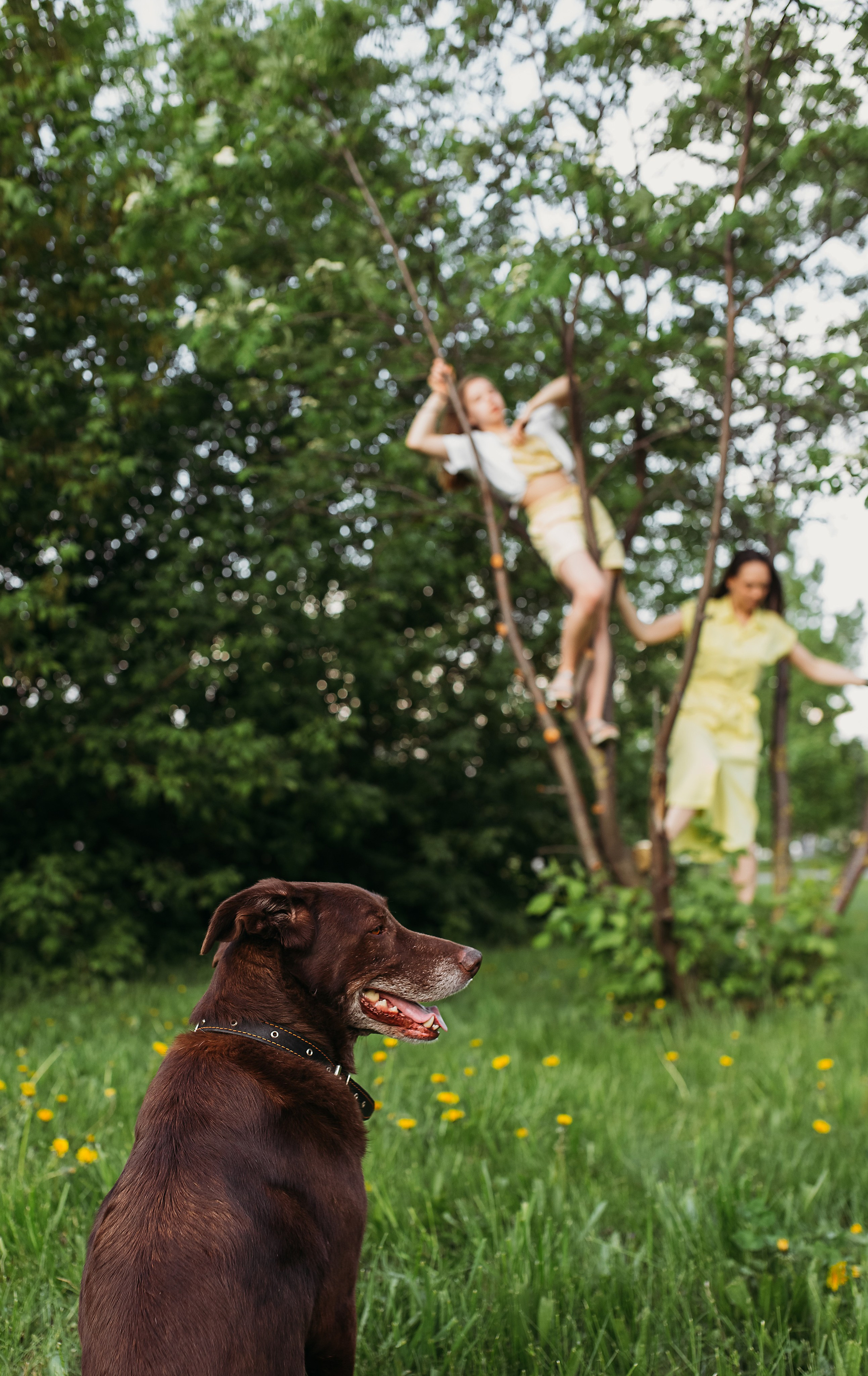 Катя, Юля, Матвей и Макс. Семейный и детский фотограф в Нижнем Новгороде Наумова Лидия