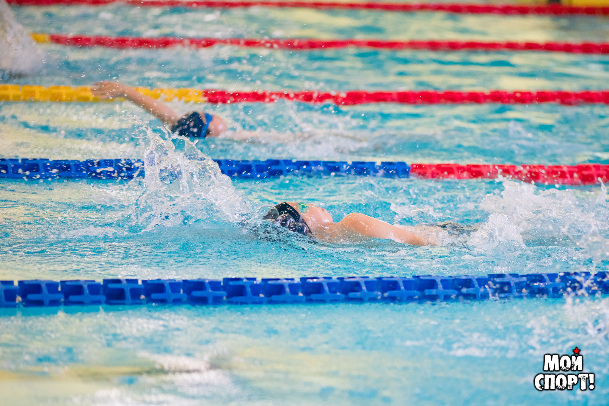 Открытый первый этап г. Якутска по плаванию «День Спринтера». Студия «Мой Спорт!» — все о спорте в Якутии