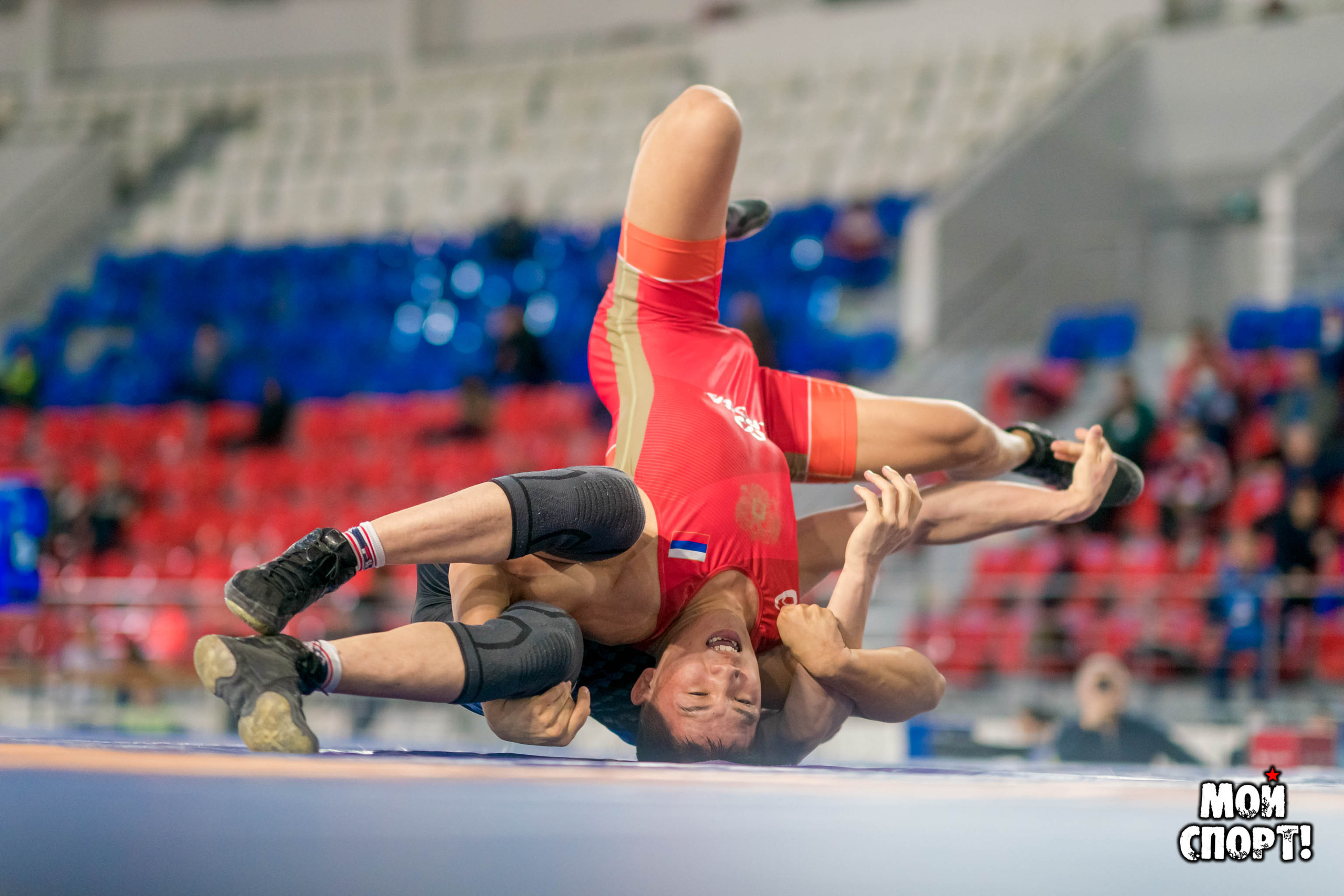 Чемпионат ДФО по спортивной борьбе среди мужчин и женщин. Студия «Мой Спорт!» — все о спорте в Якутии