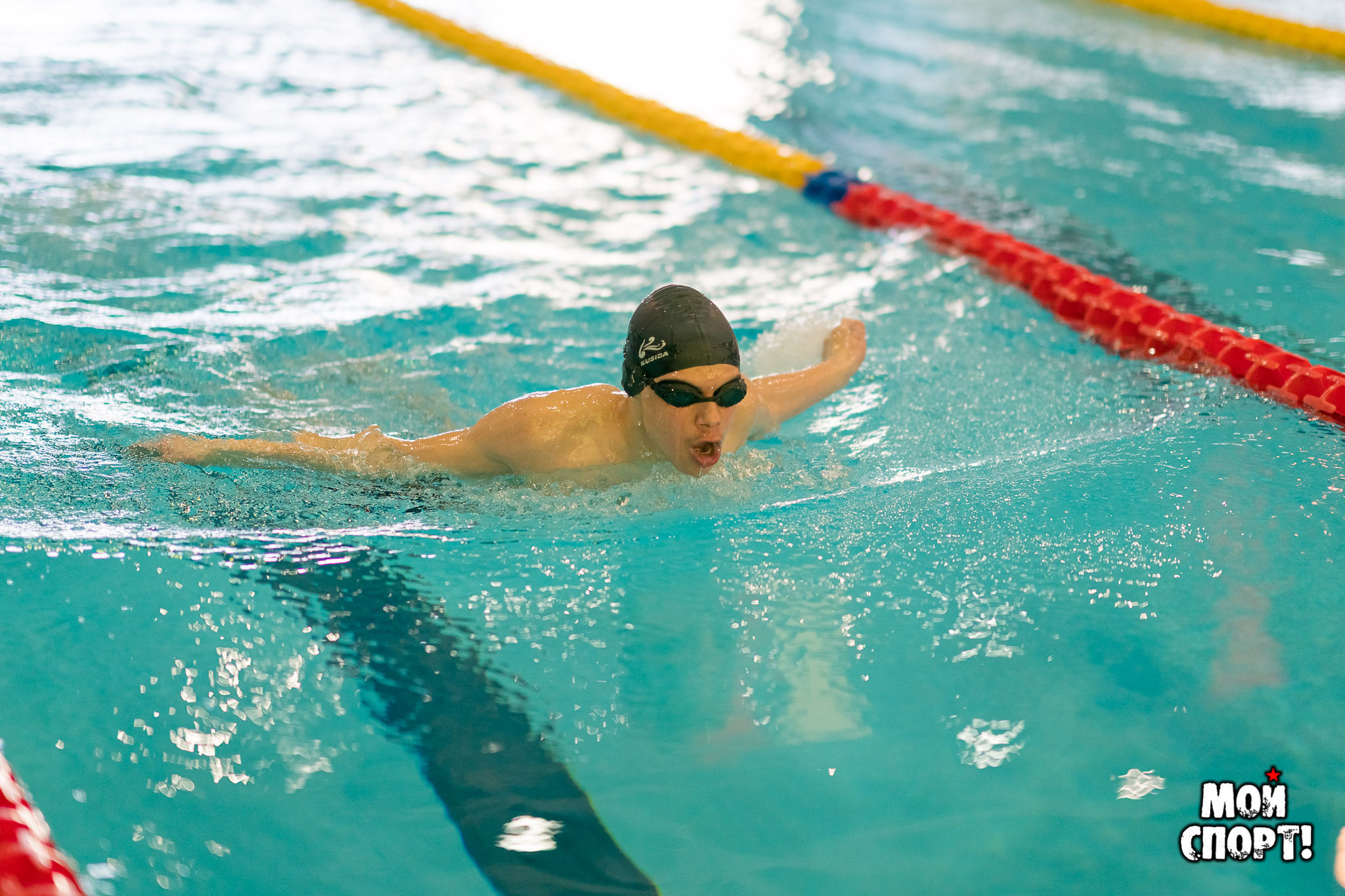 Открытый первый этап г. Якутска по плаванию «День Спринтера». Студия «Мой Спорт!» — все о спорте в Якутии