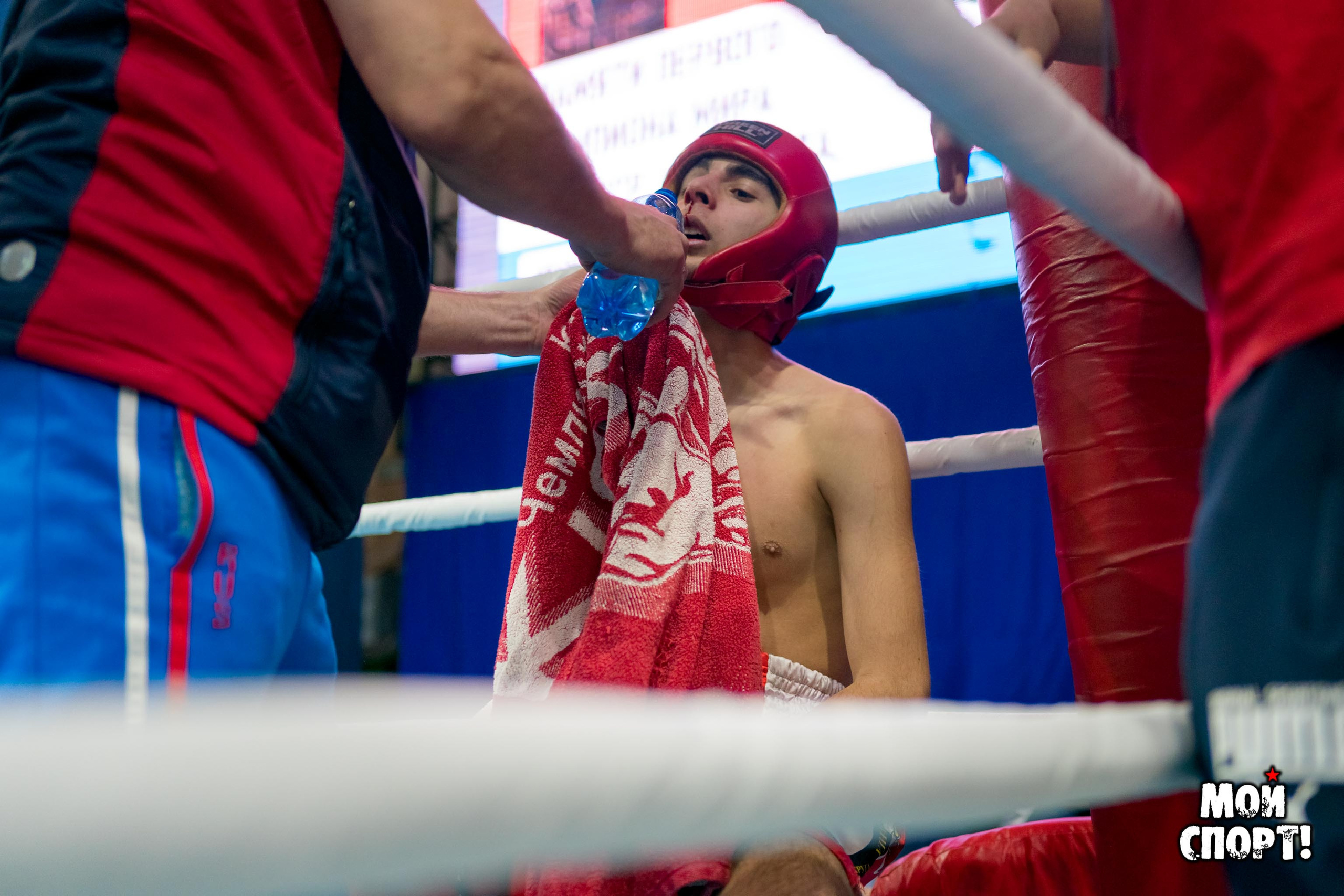 Чемпионат и первенство ДФО по кикбоксингу в разделе Лоу-кик памяти А. Иванова. Студия «Мой Спорт!» — все о спорте в Якутии