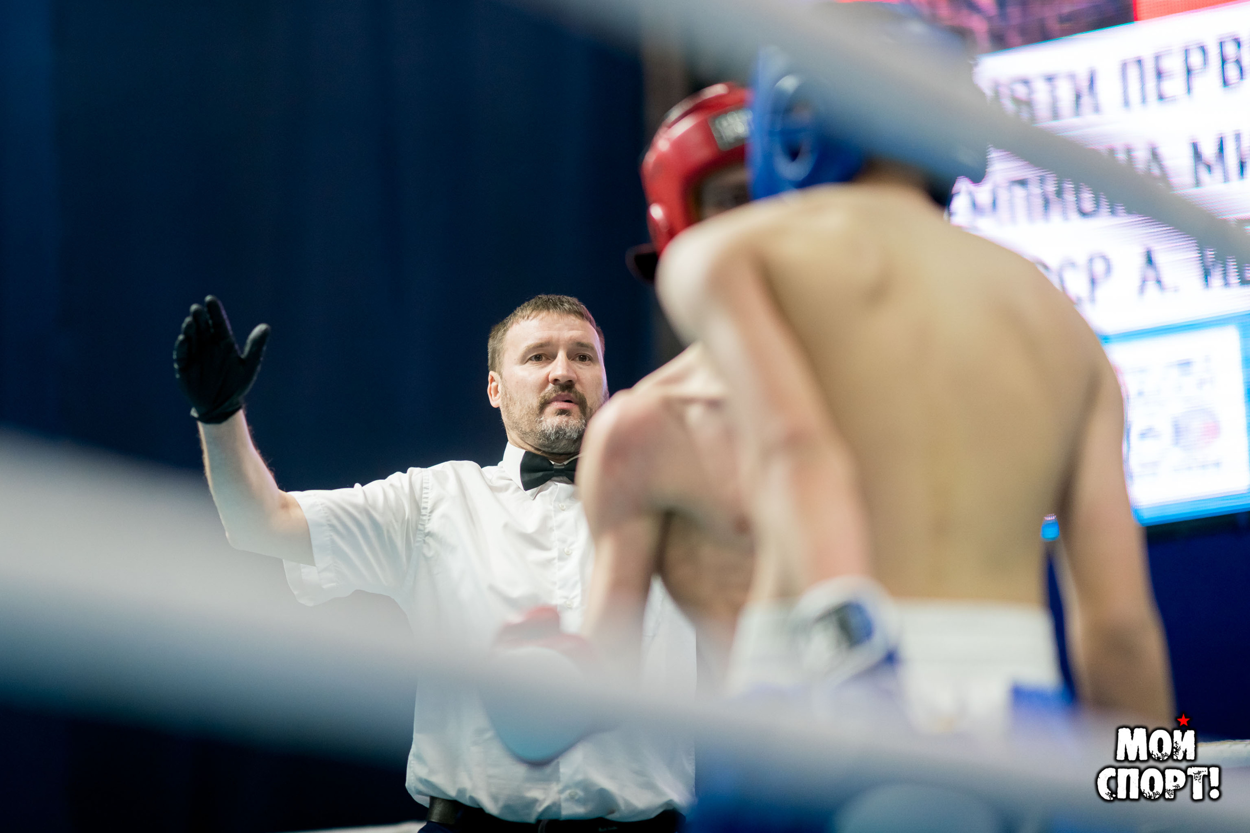 Чемпионат и первенство ДФО по кикбоксингу в разделе Лоу-кик памяти А. Иванова. Студия «Мой Спорт!» — все о спорте в Якутии