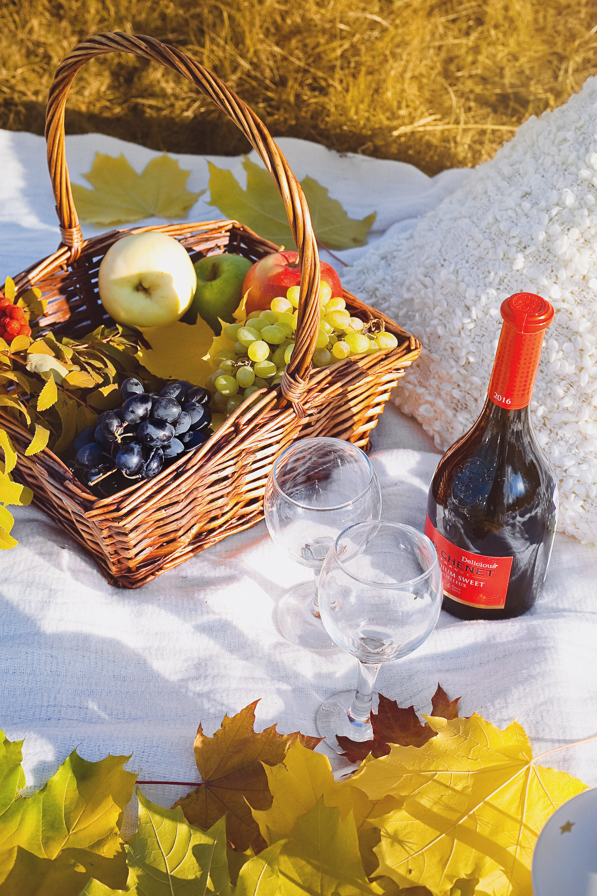 Осенний пикник идея для фотосессии