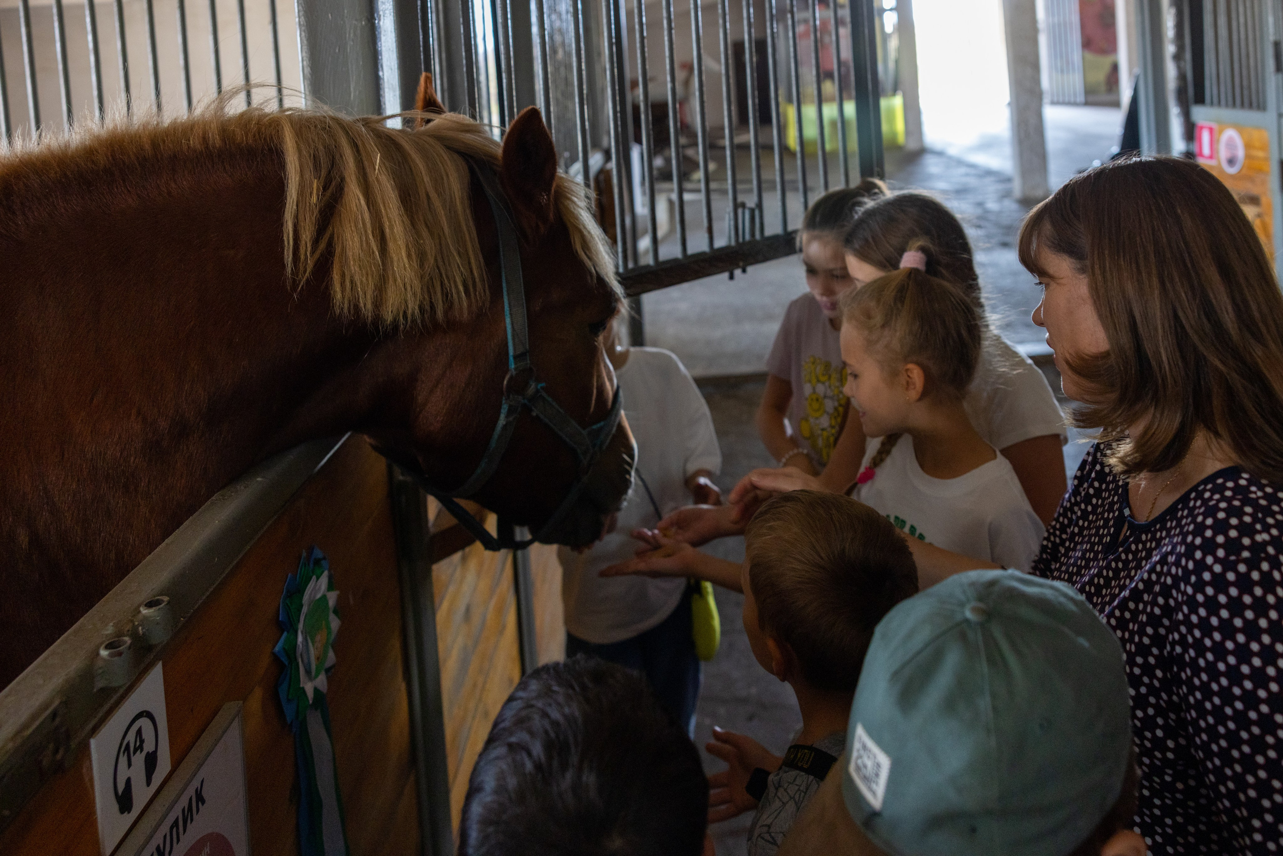 Поездка на поле Кулеково. Фотограф в Туле Крупский АнДРей. Фотостудия «КАДР71» в Туле