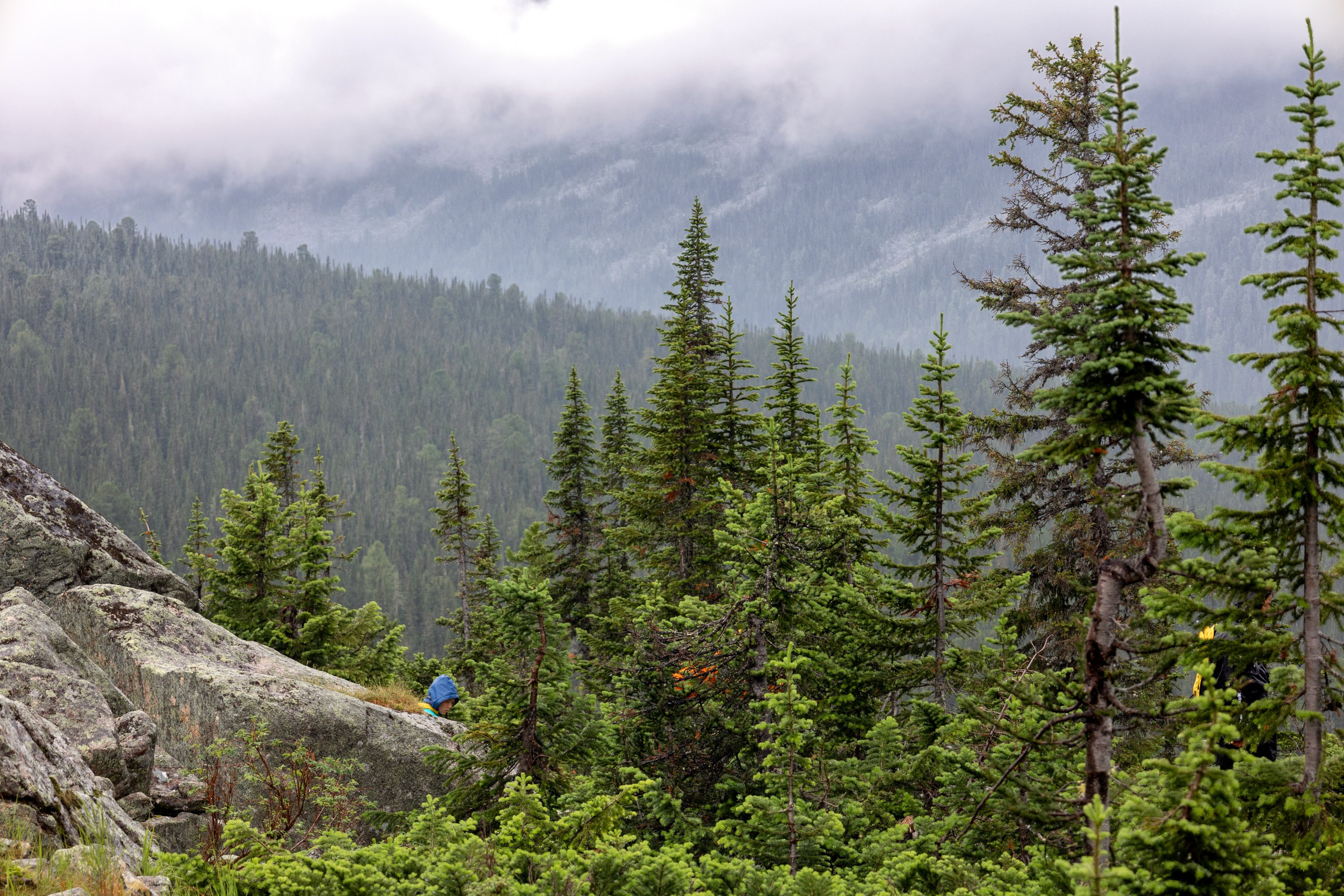 Ергаки. Семейный и детский фотограф в Красноярске, Дивногорцева Светлана
