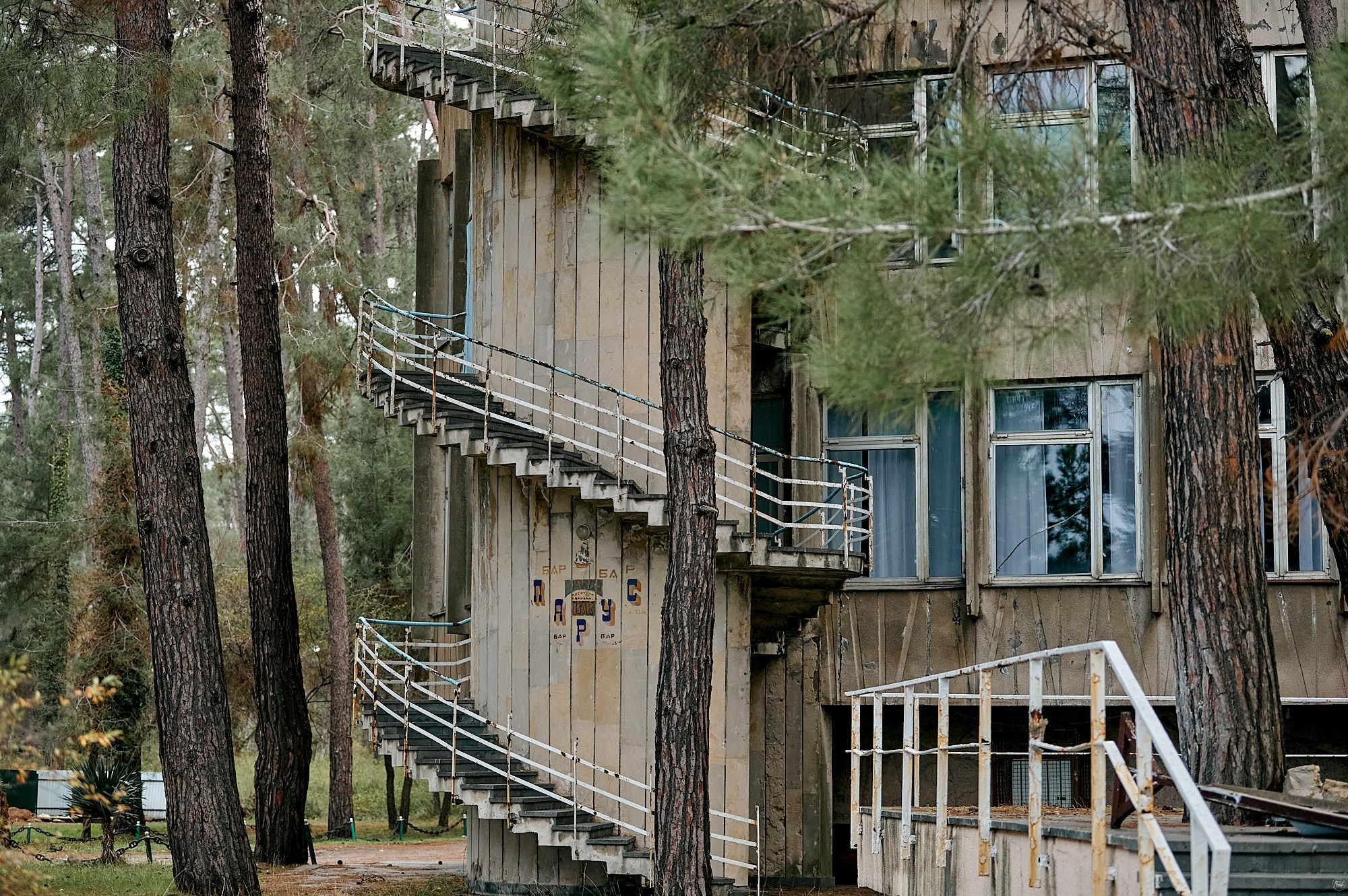 Пицунда, Абхазия. Декабрь 2024. Фотографии отовсюду и обо всем