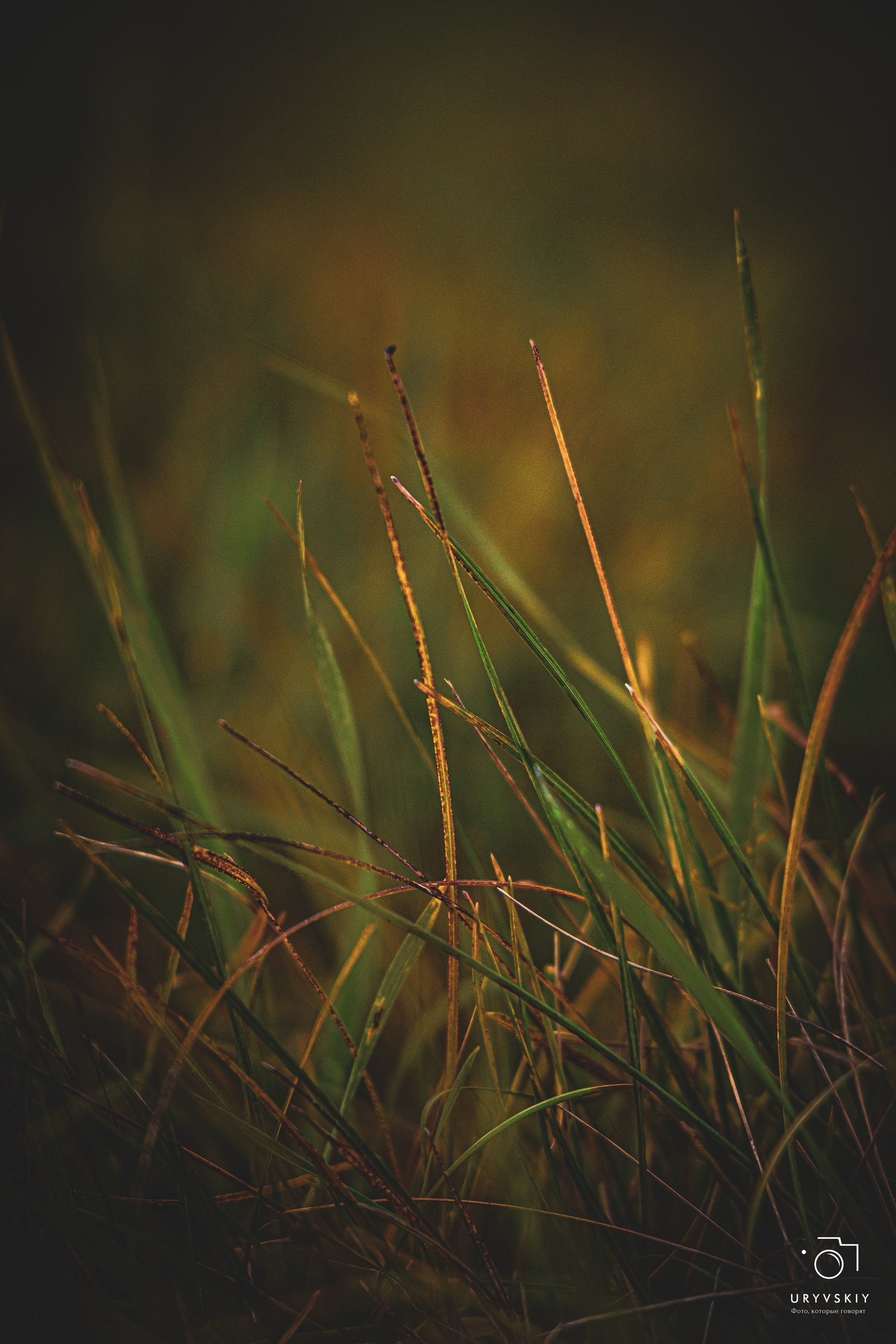 Красное кольцо. Дрифт баттл. Игорь Урывский. Фотограф Красноярск