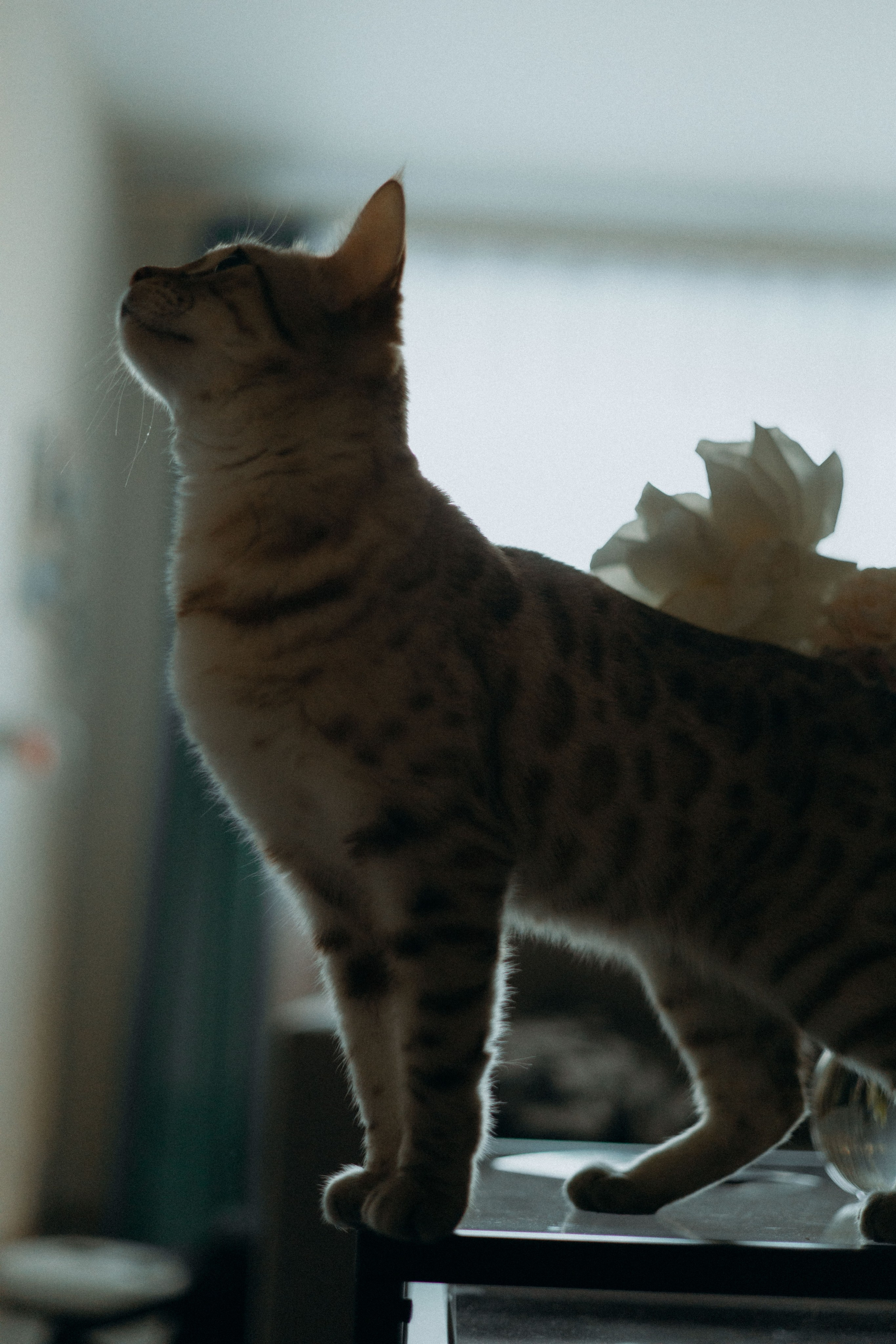 Саша и Артем. Катерина Аникеева | Фотограф | Екатеринбург