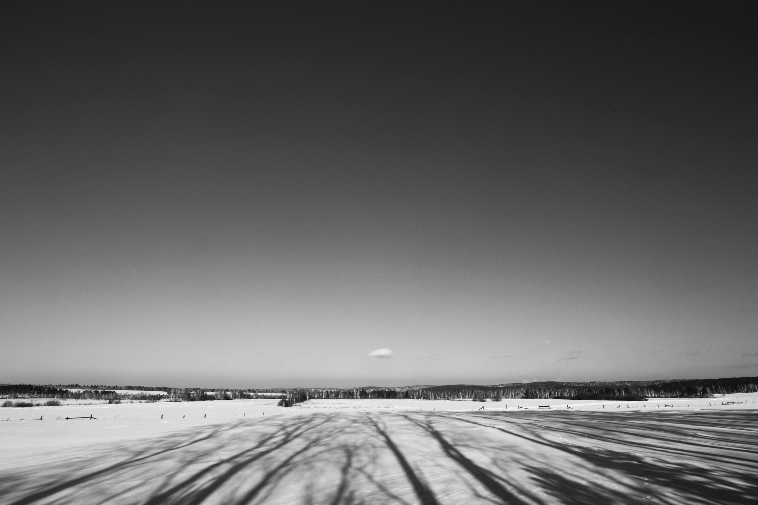 2025 год. Тащилин Сергей. Фотографии. Жизнь. Хобби