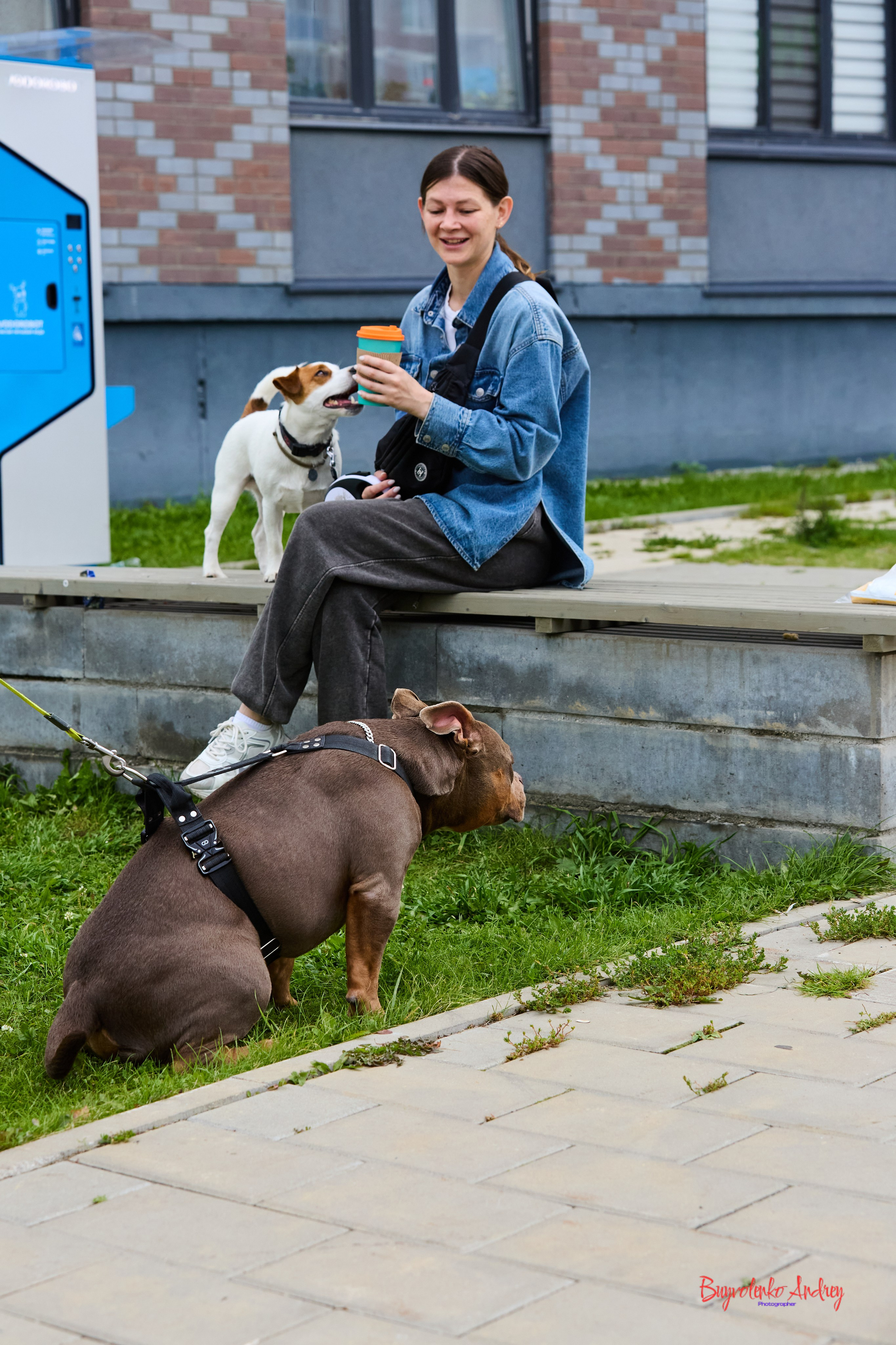 Проект фотопрогулка с хвостиком. Buyvolenko Andrey