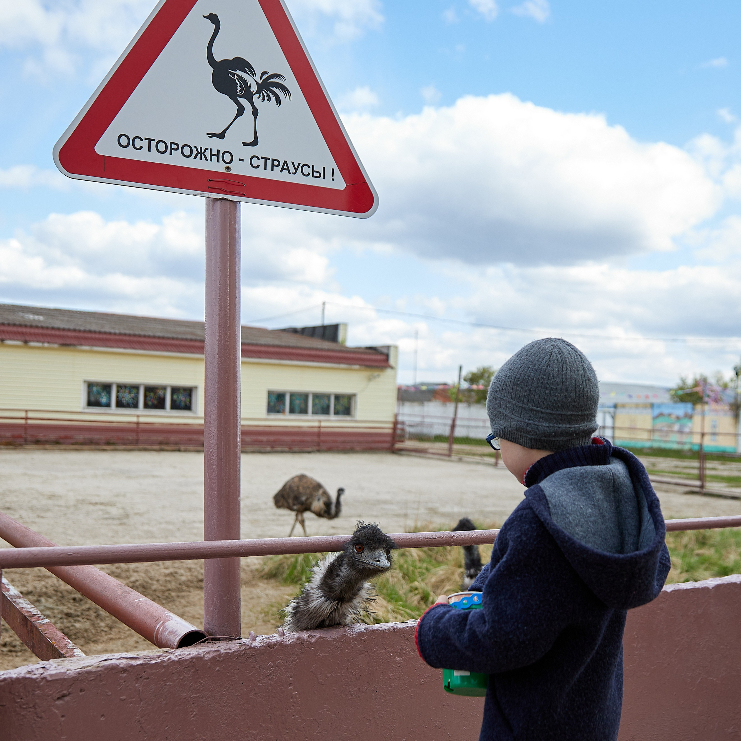 На ферме. Главная